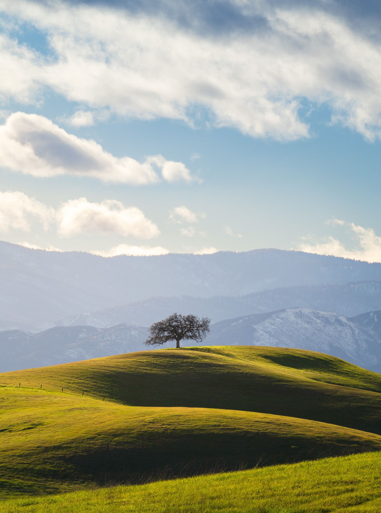 A lone tree stands atop rolling green hills with mountains and dramatic clouds in the background.