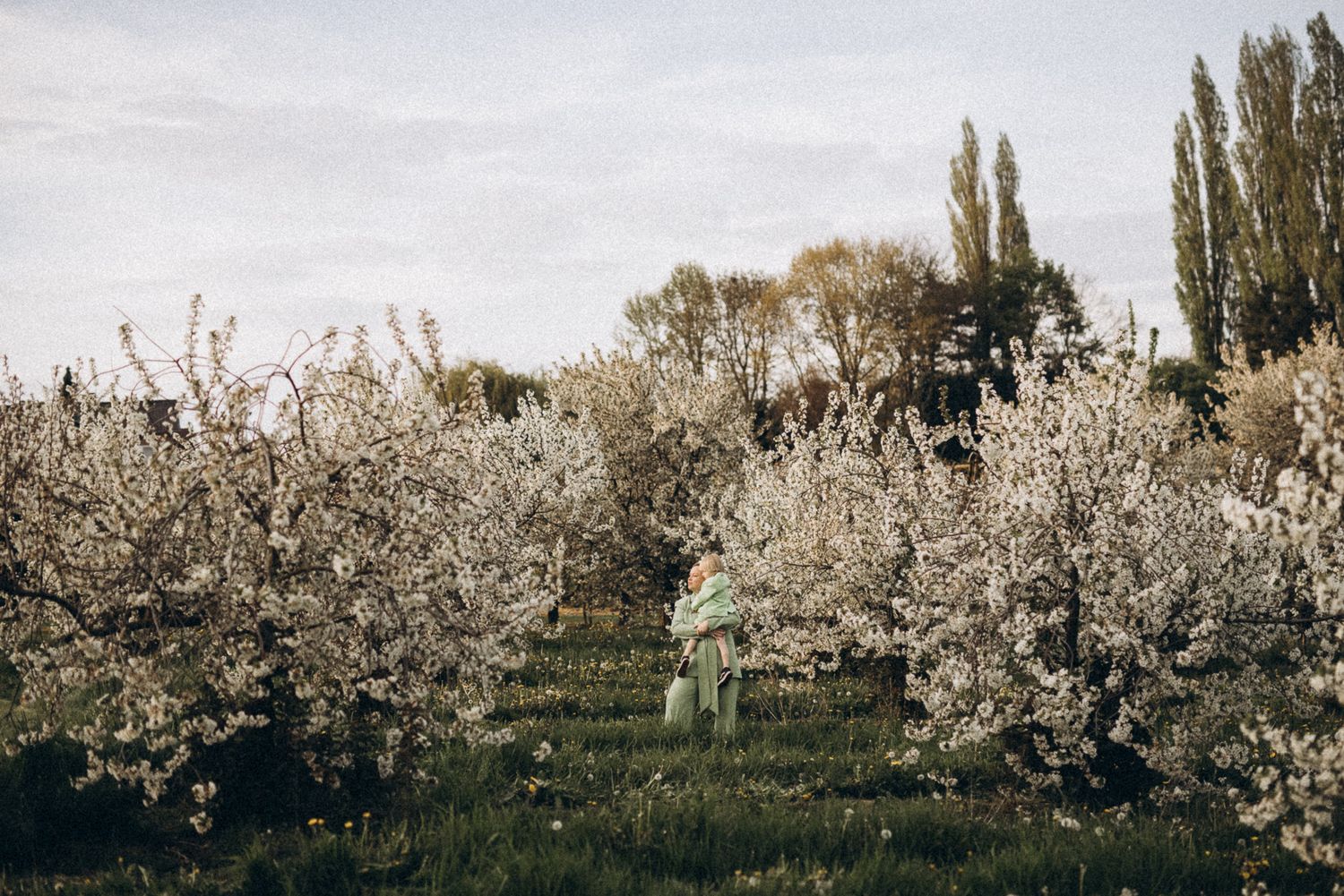 foto met bloesems