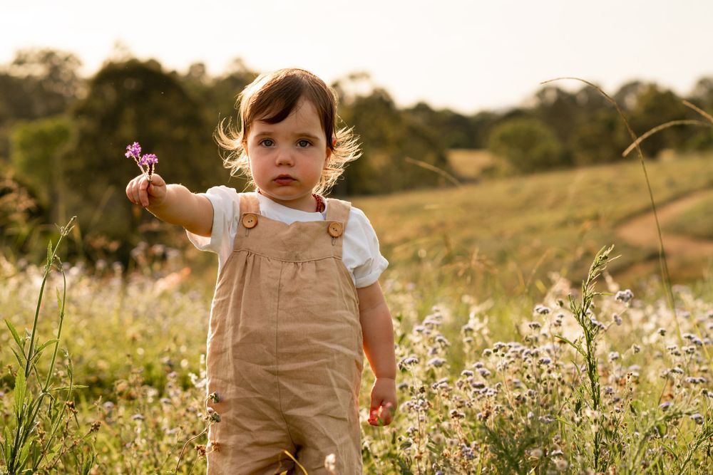 Toddler stands in a field of wildflowers, holding a flower out and looking towards the camera.