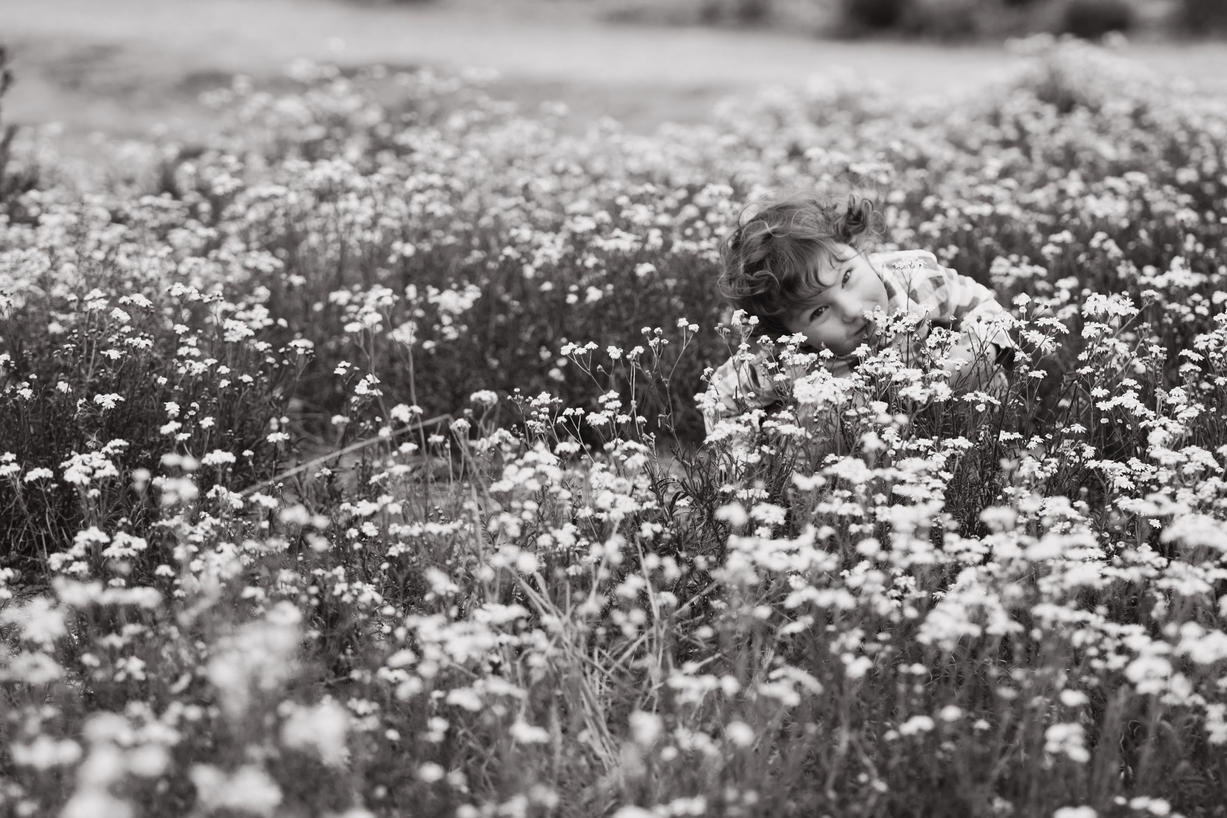 Black and white image of a child crouched among wildflowers