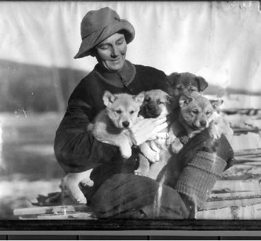 Historic Chinook Breeder Julia Lombard playing with the Chinook pups.