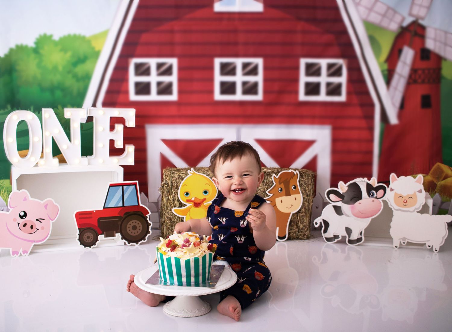 baby boy at his cake smash on a farm theme photographed by cake smash photographer swansea