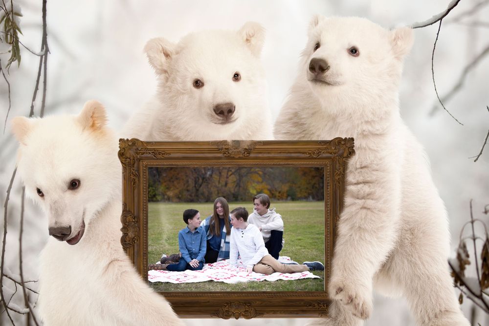 Christmas edit, bears holding the image of siblings in a field.