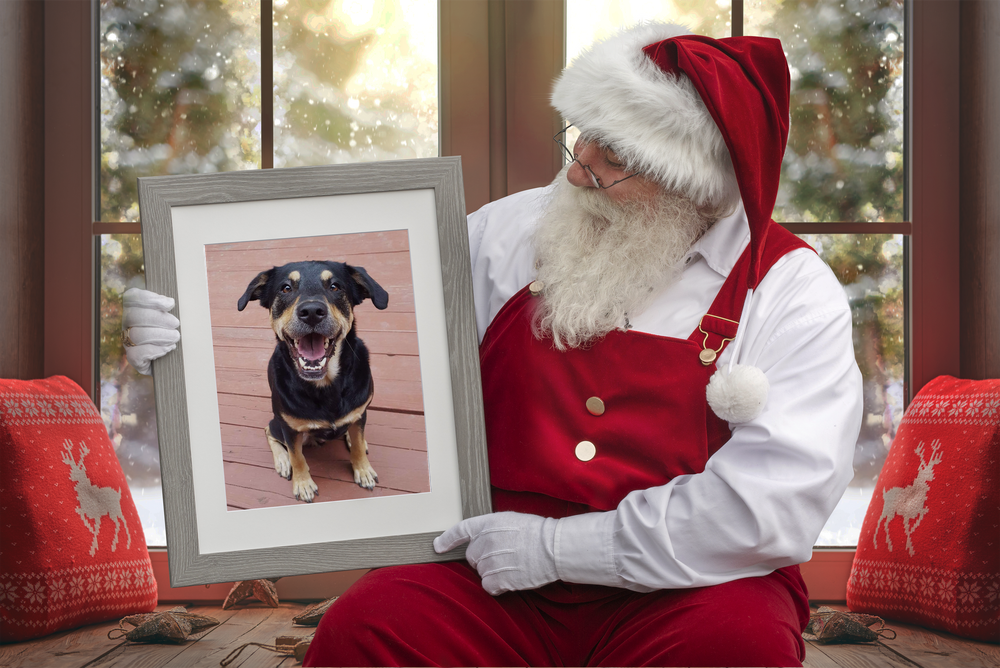 Santa holds up a photo of a dog.