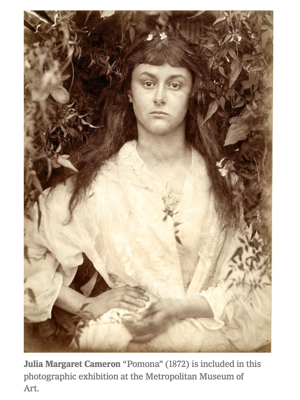 Vintage sepia photograph of romantic Victorian era portrait amid foliage.