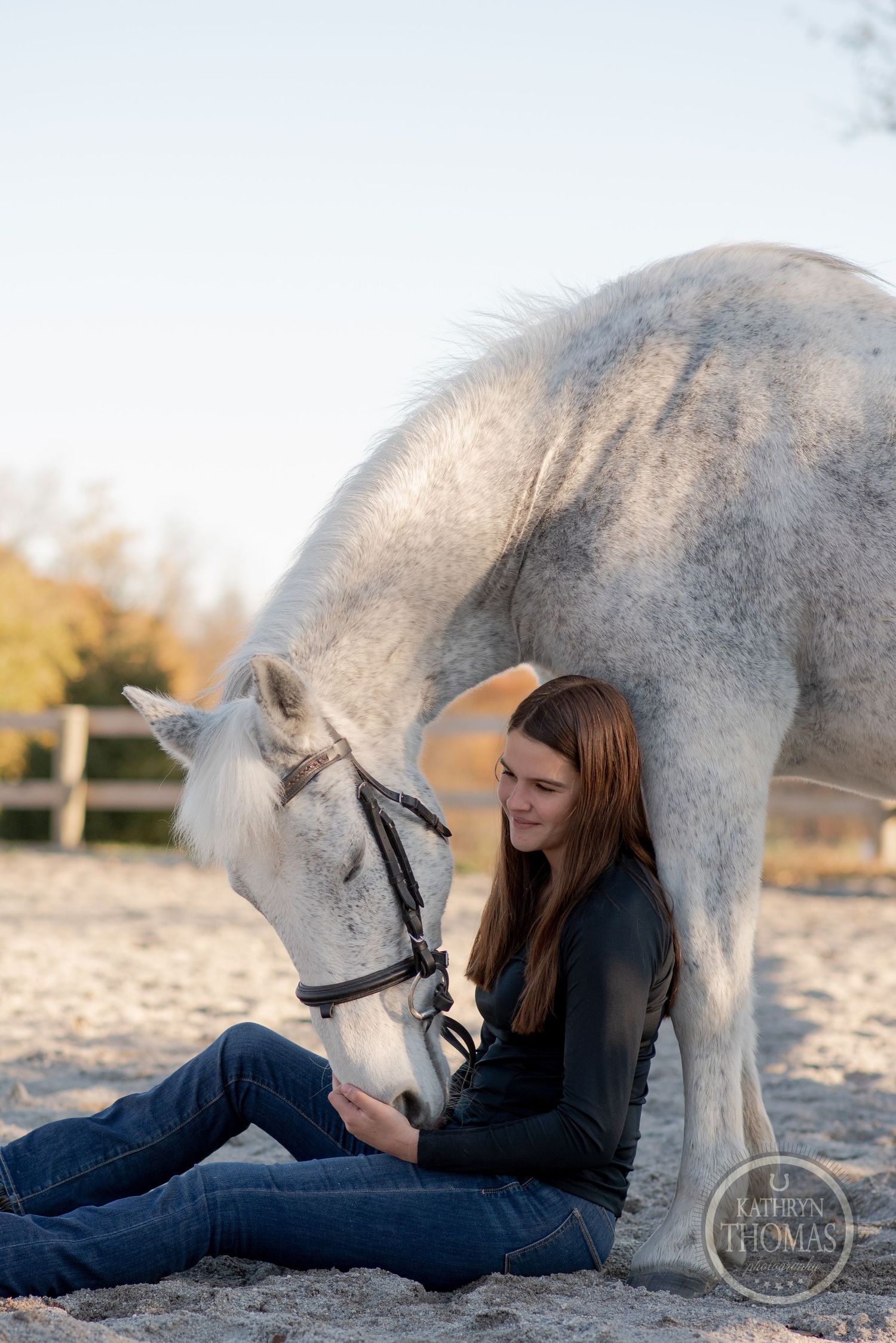 An intimate moment between a gray horse and companion sitting in the sand during a photo session.