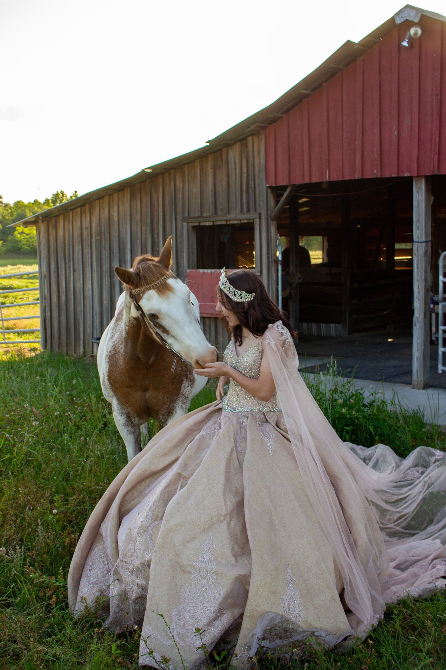 horse eating out of the young lady's hand wearing a big dress and crown