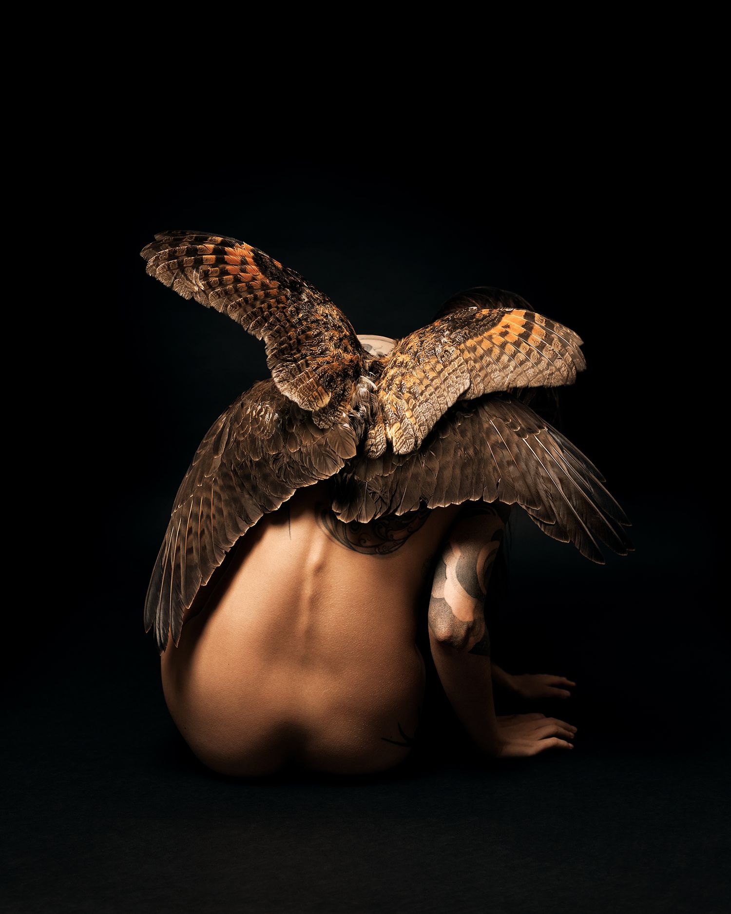 portrait on trauma recovery