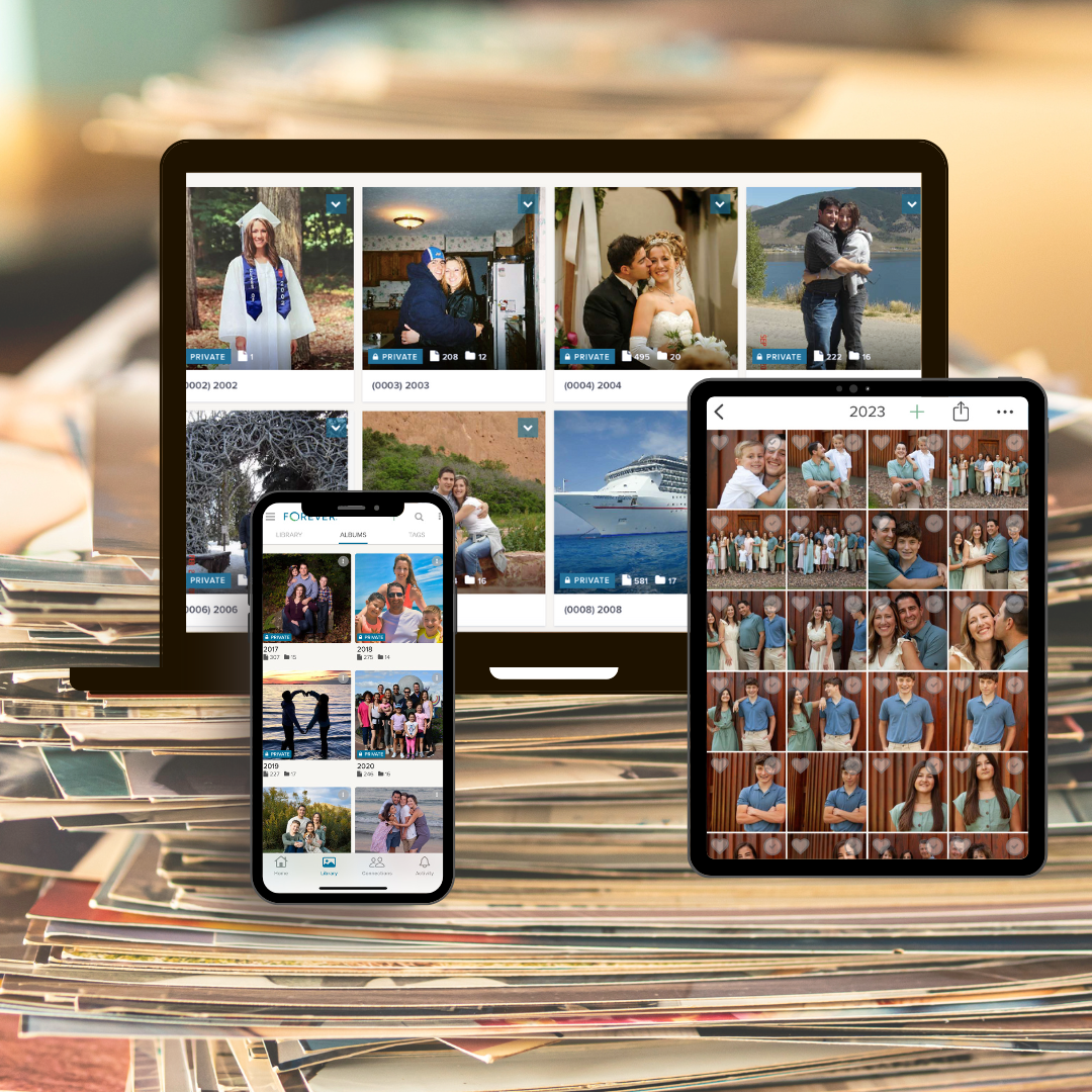 An organized digital photo collection