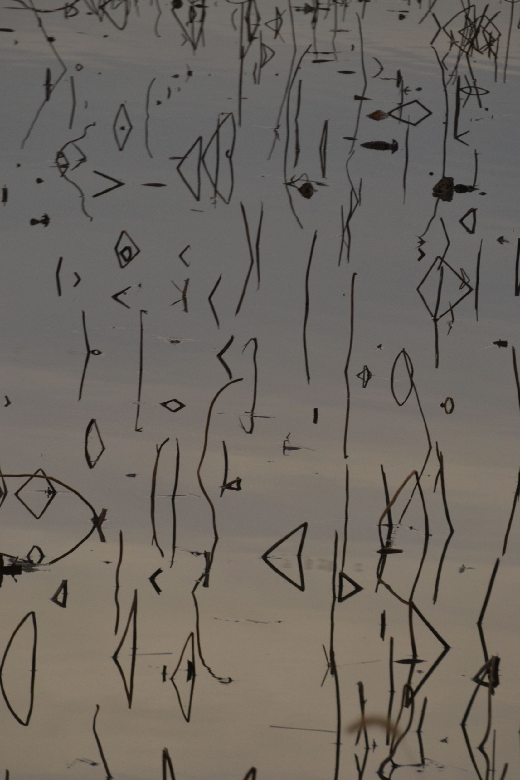 Reflective Reeds
