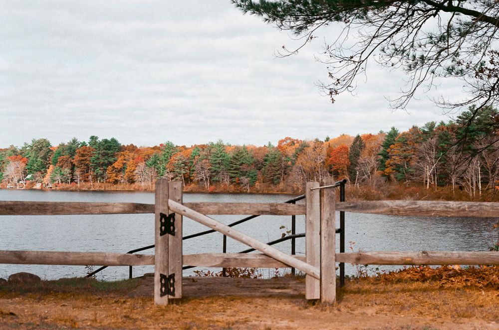 Wooden gate frames scenic view of lake surrounded by vibrant fall foliage.