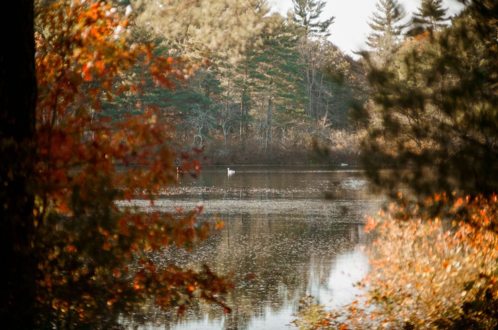 Tranquil autumn lake scene with colorful fall foliage reflecting on calm water.