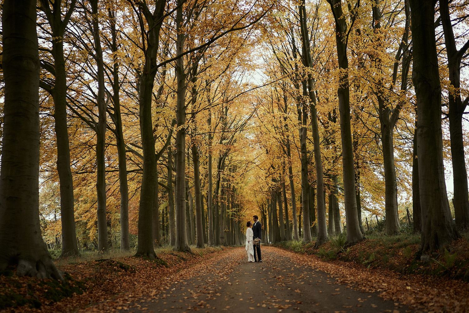 Een eenzame figuur staat in het herfstbospad omzoomd met hoge bomen en gouden gevallen bladeren, wat een prachtig tunneleffect creëert.