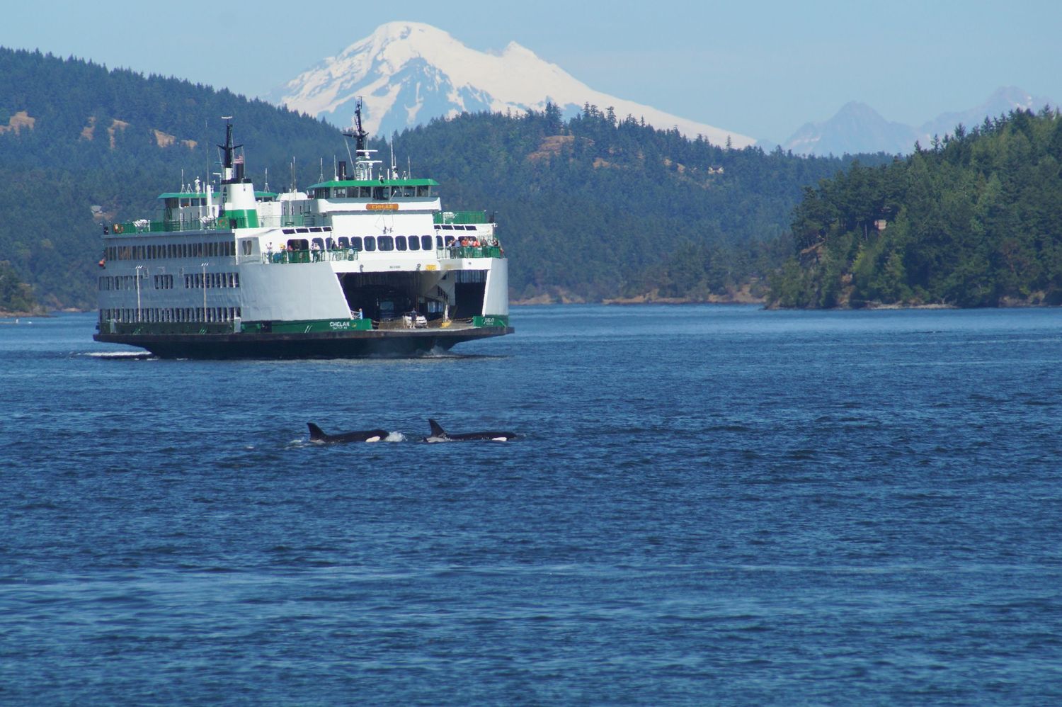 A ferry boat cruises past snow-capped mountains on calm blue waters.