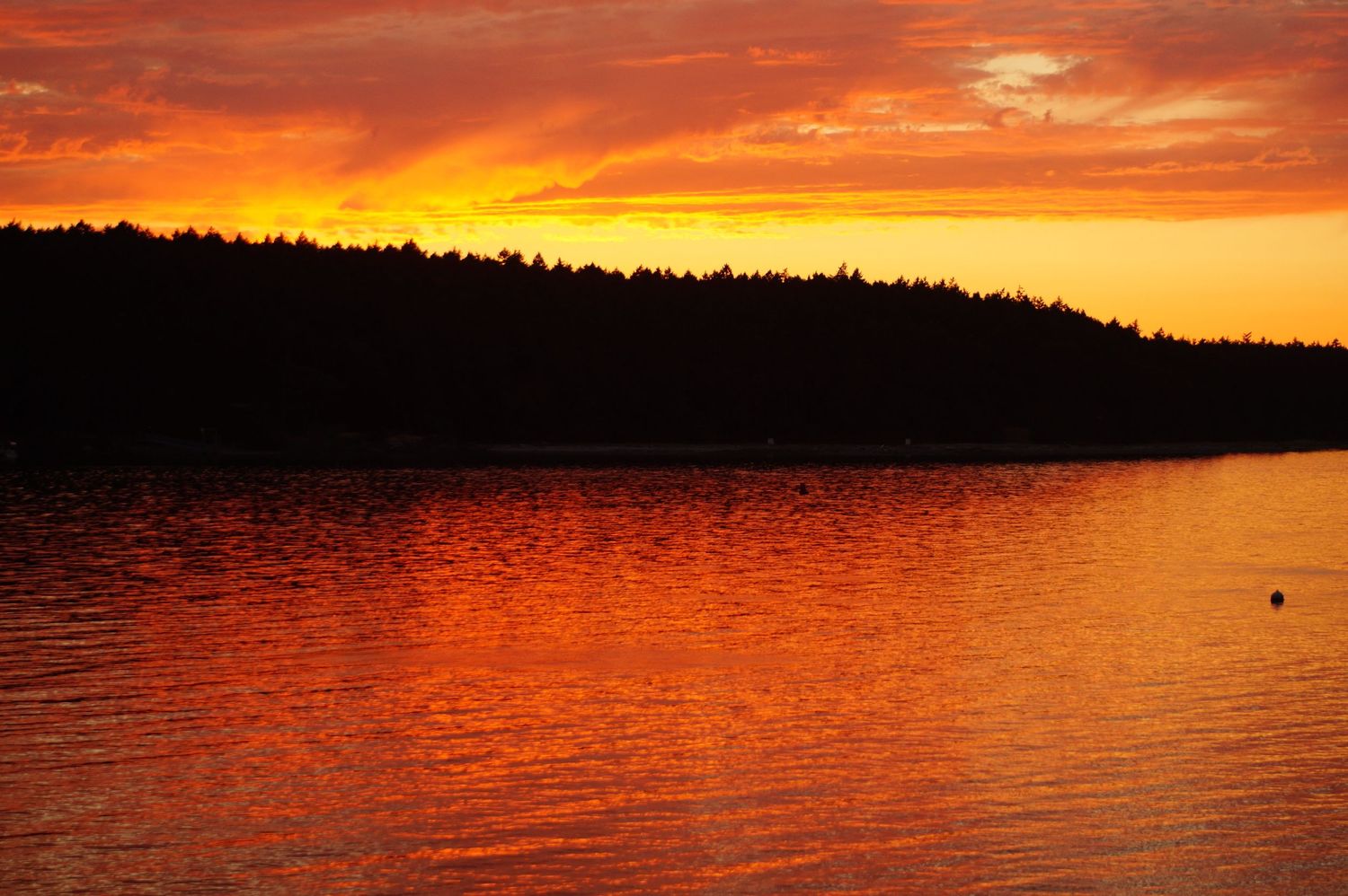 Dramatic orange sunset over water creates silhouettes of trees against a fiery sky.