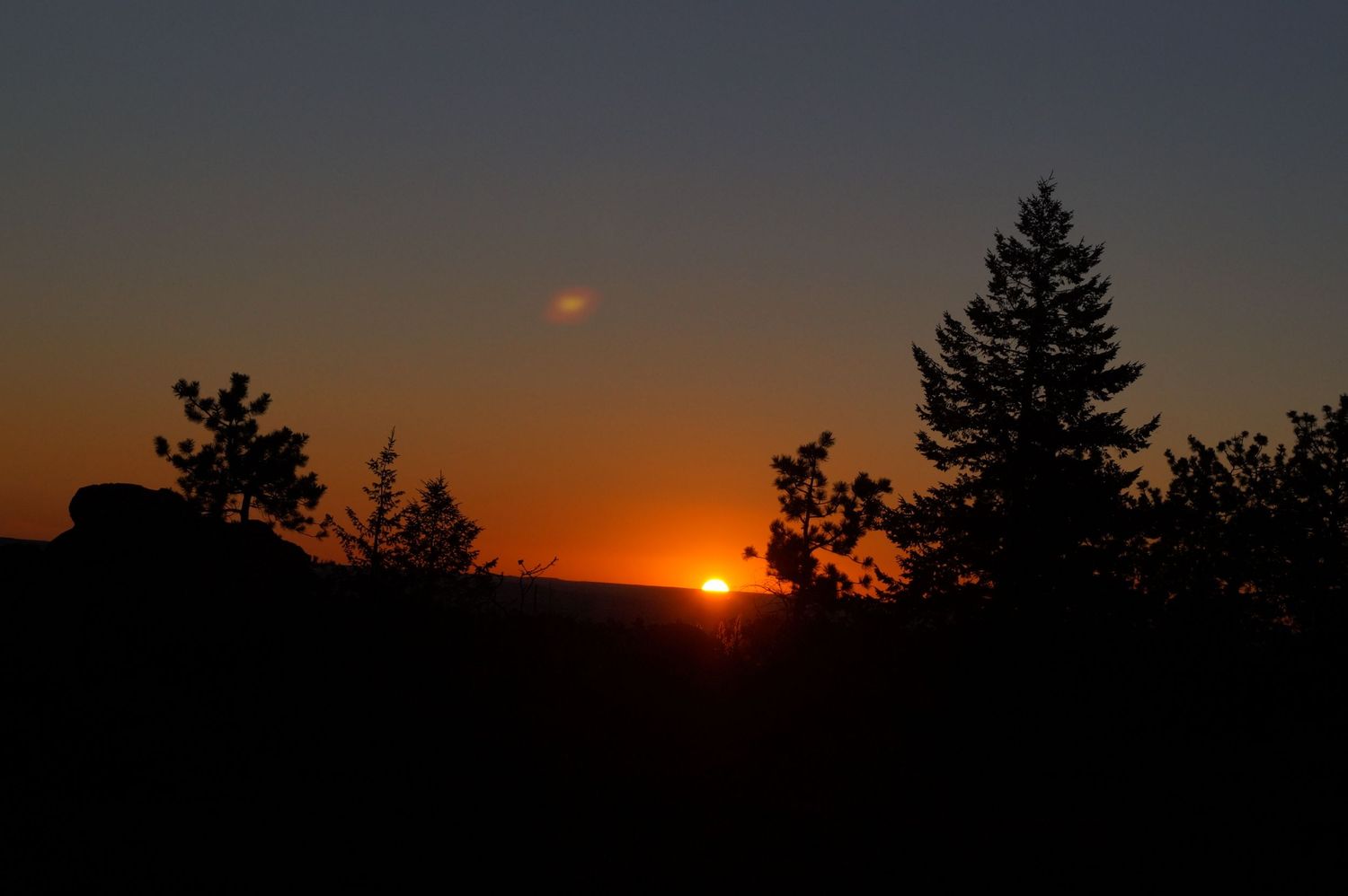 Silhouettes of pine trees frame a golden sunset on the horizon.
