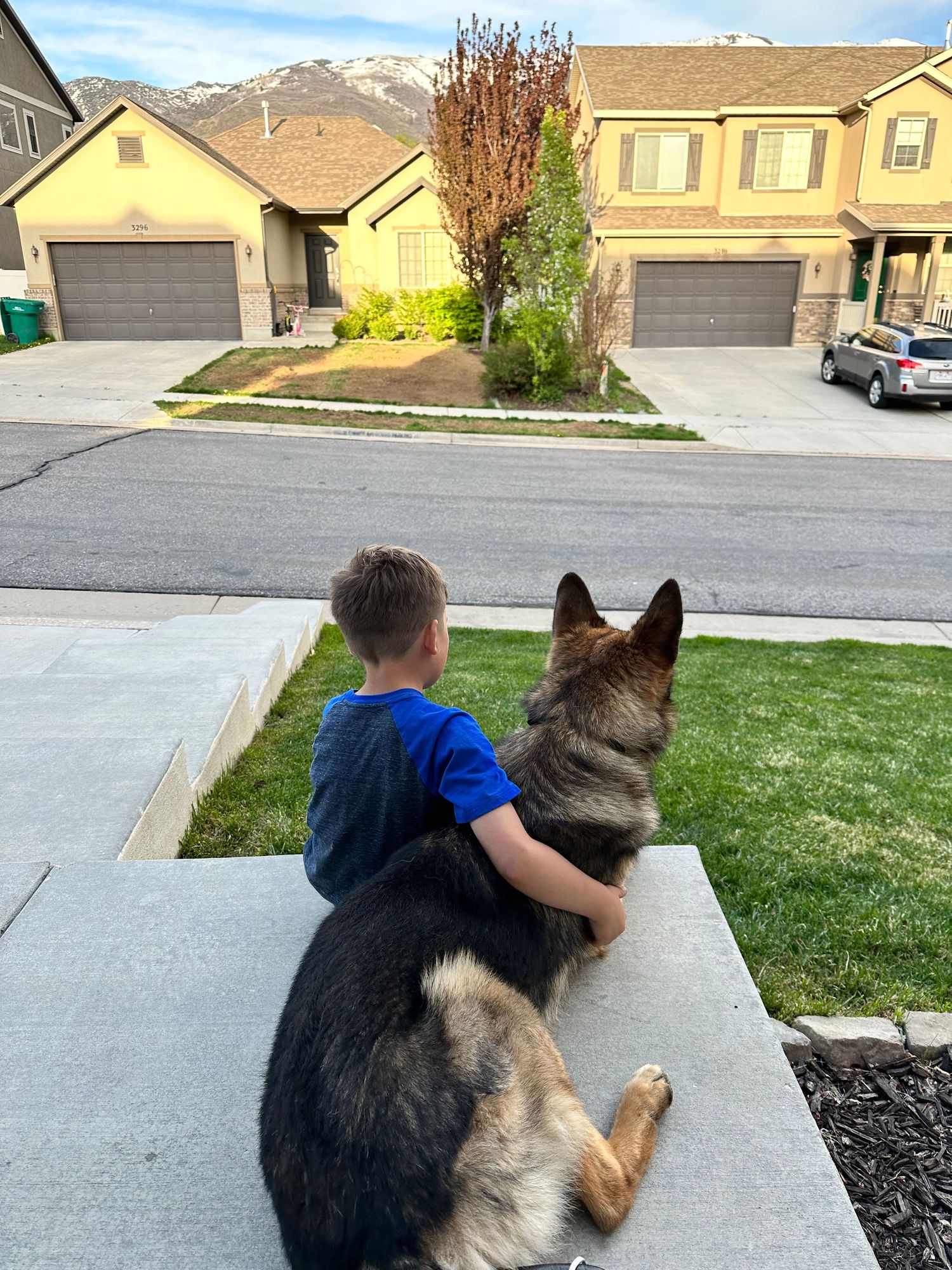 A German Shepherd and companion sit together on steps overlooking a suburban neighborhood with mountains in background.