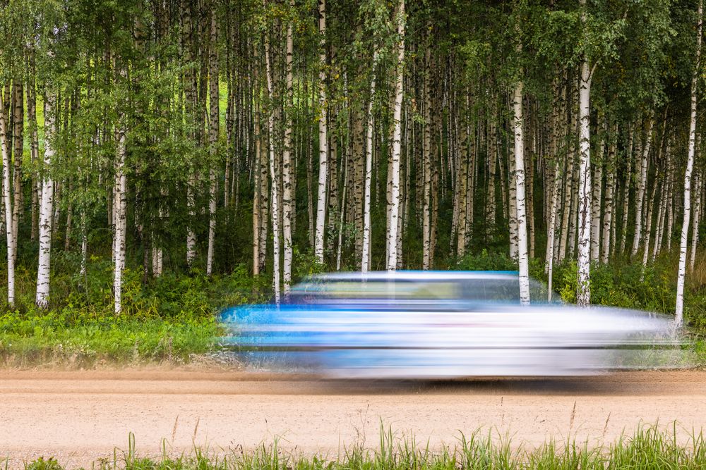 Motion-blurred car speeds past birch forest on dirt road.