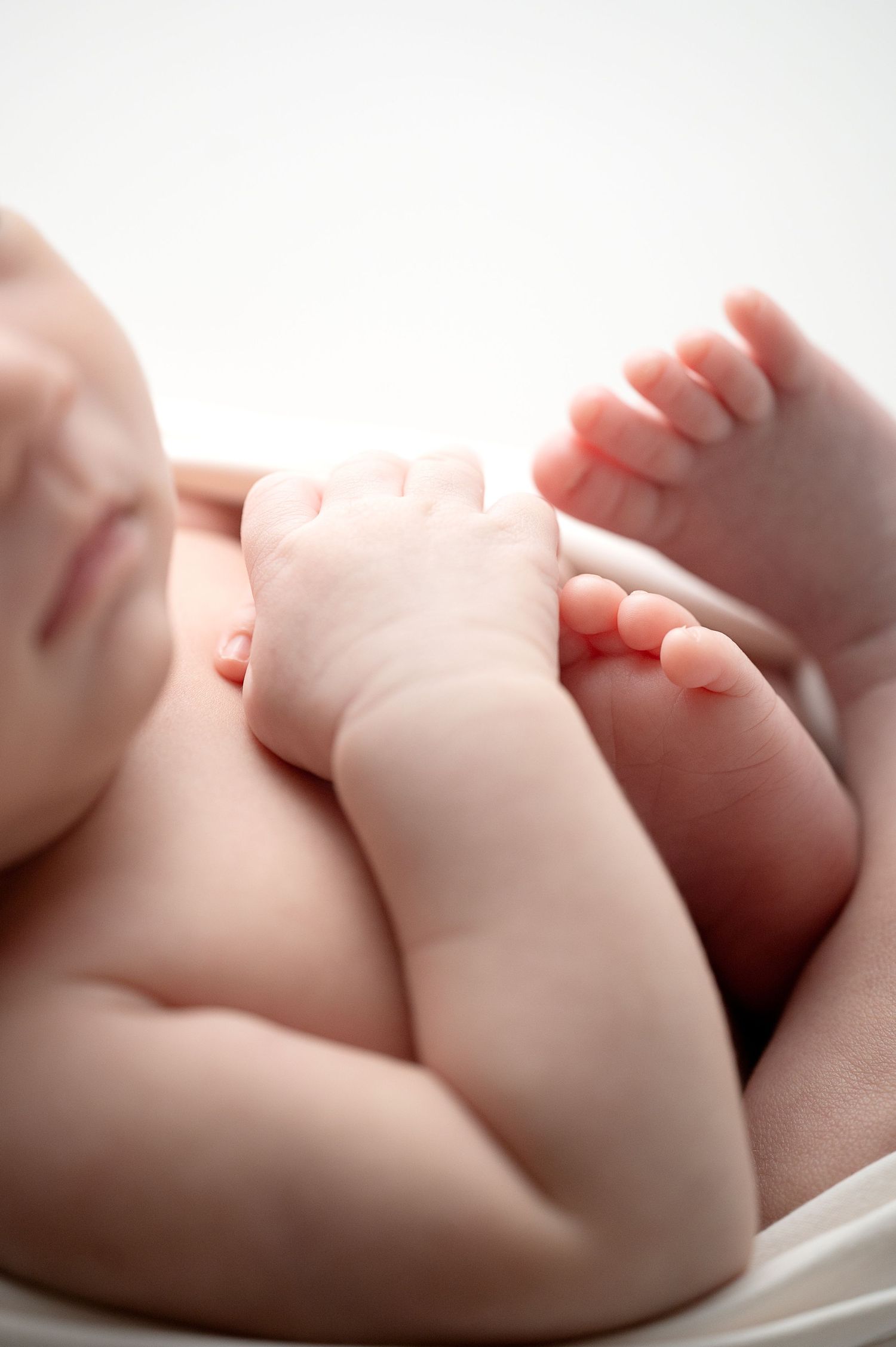 Close-up of newborn baby feet and hands on white backdrop.