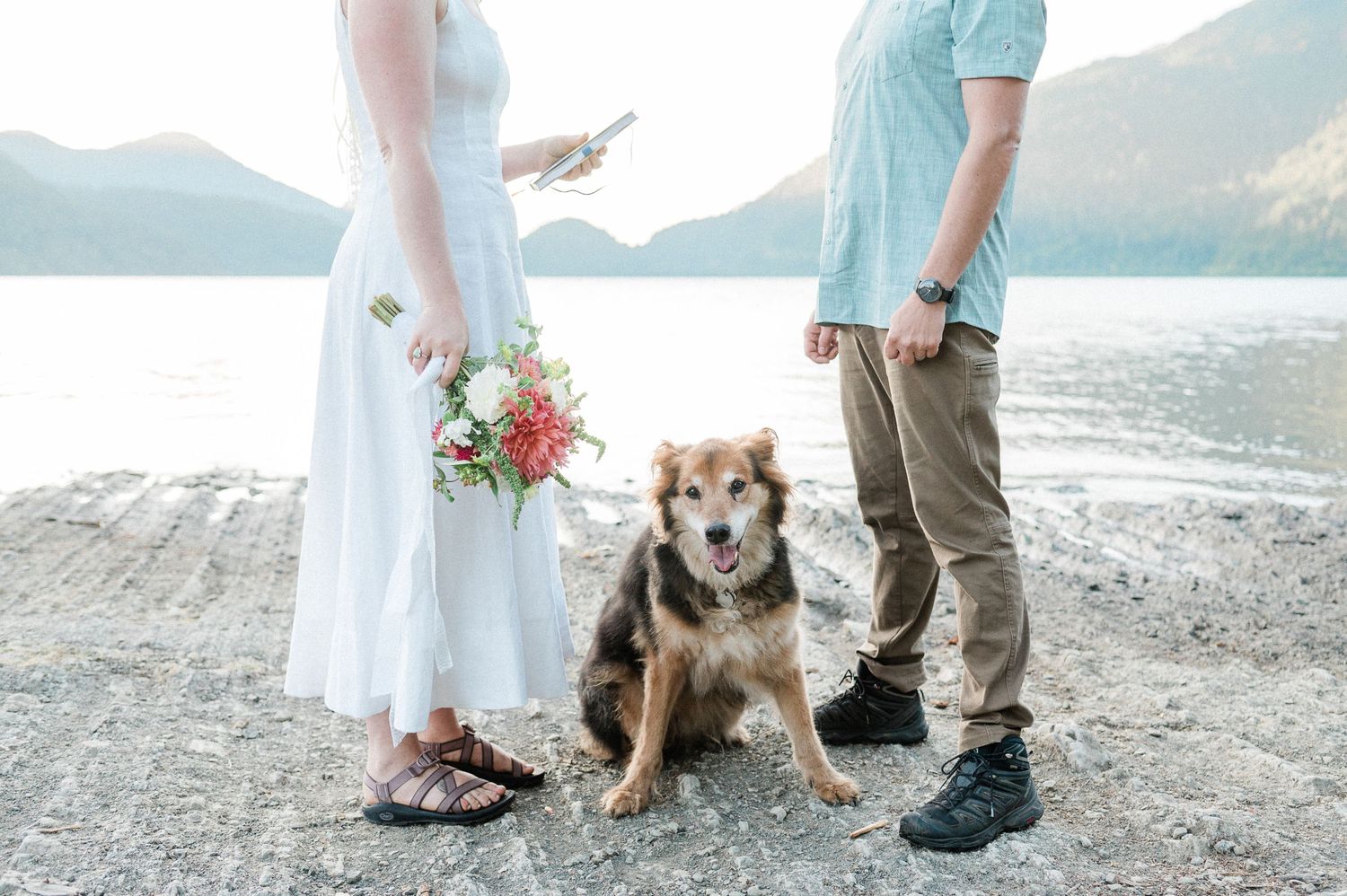 Dog at Lake Crescent Elopement. Photo by Pine + Vow.