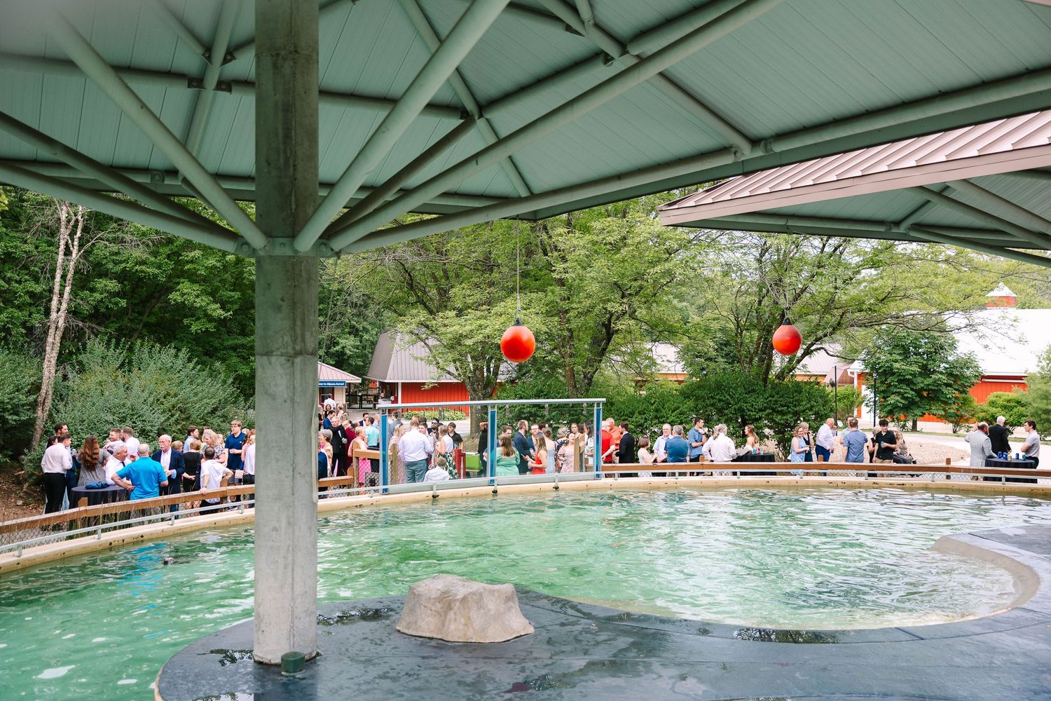 Cocktail hour at the Des Moines Blank Park Zoo sea lion facility