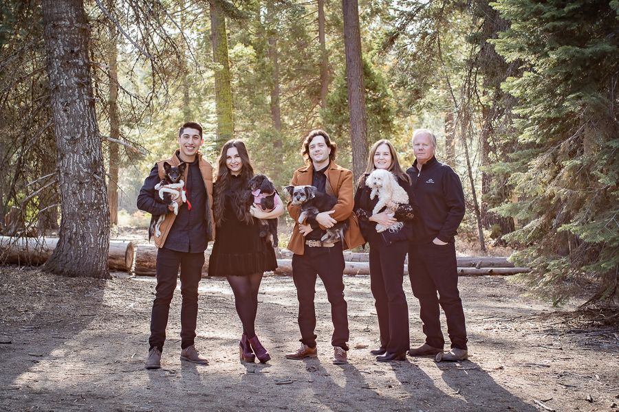Family portrait session in sunlit forest with pine trees creating natural backdrop.