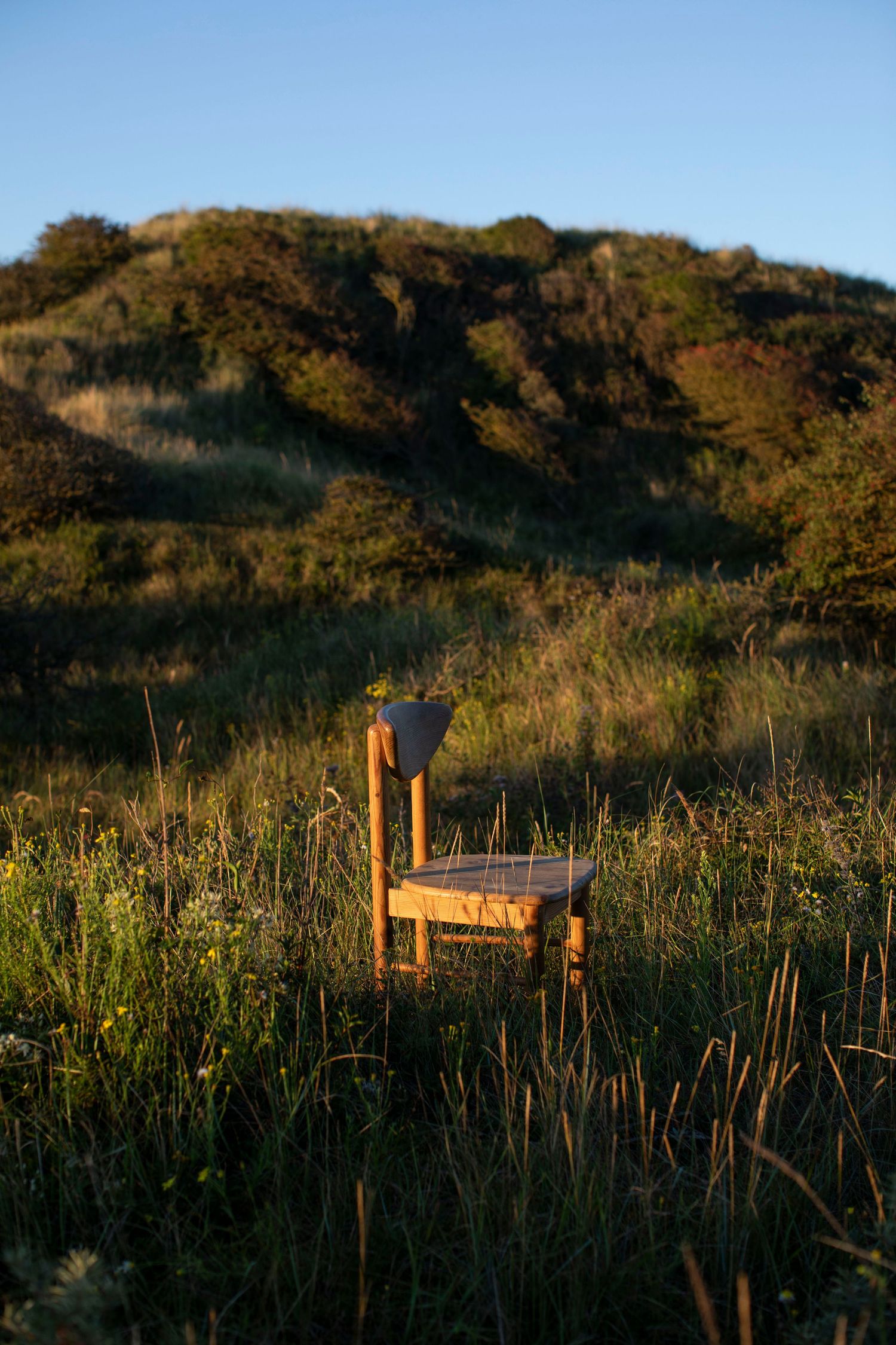 Wooden bench frame visible through tall grass with hills in background at sunset.
