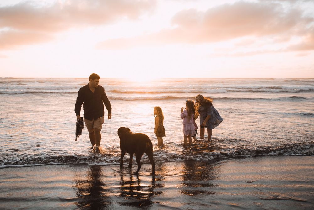 Family and dog walking together along the shoreline at sunset creating silhouettes against the orange sky.