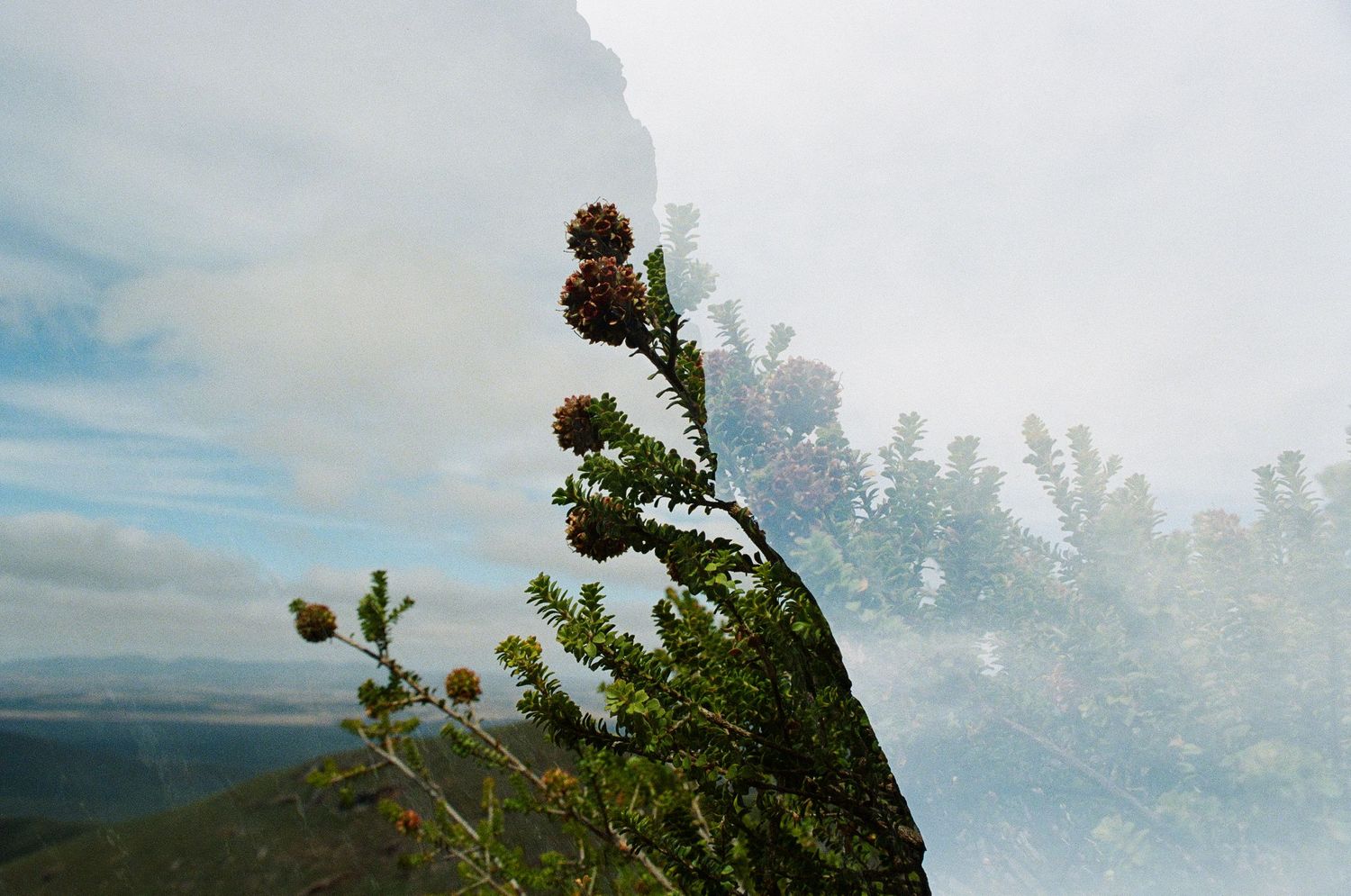 Creative double exposure