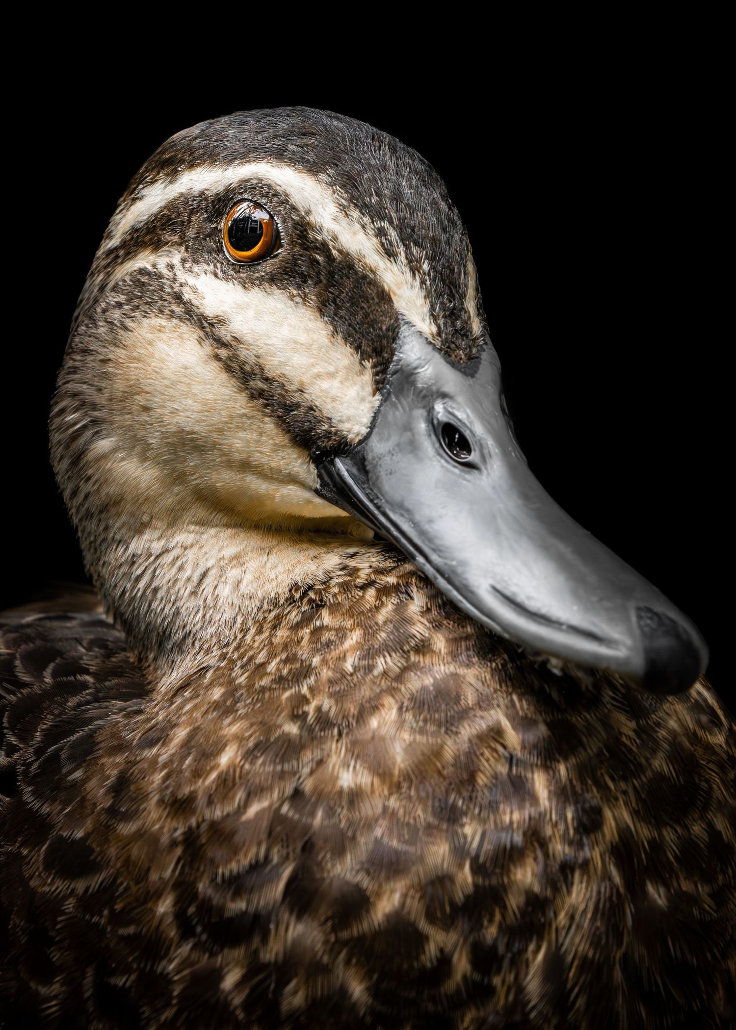John Peters Photography