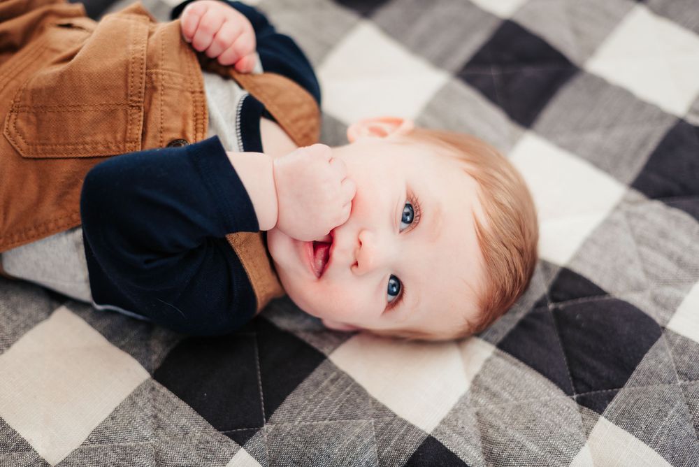 twin boys posing for 6 month photo session in indiana