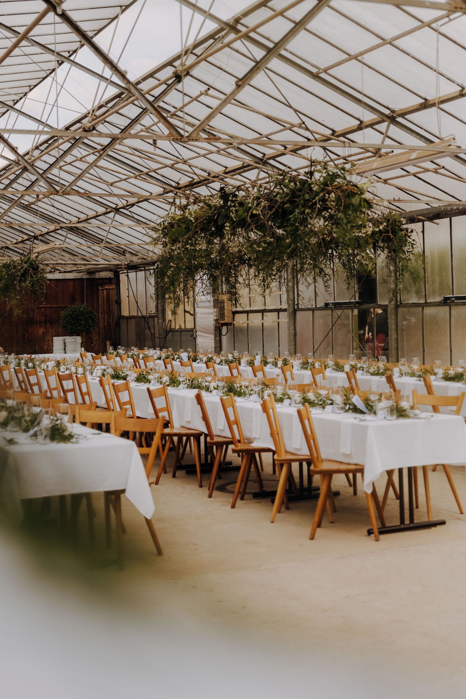 Greenhouse wedding reception setup with long tables and wooden chairs arranged under glass ceiling.