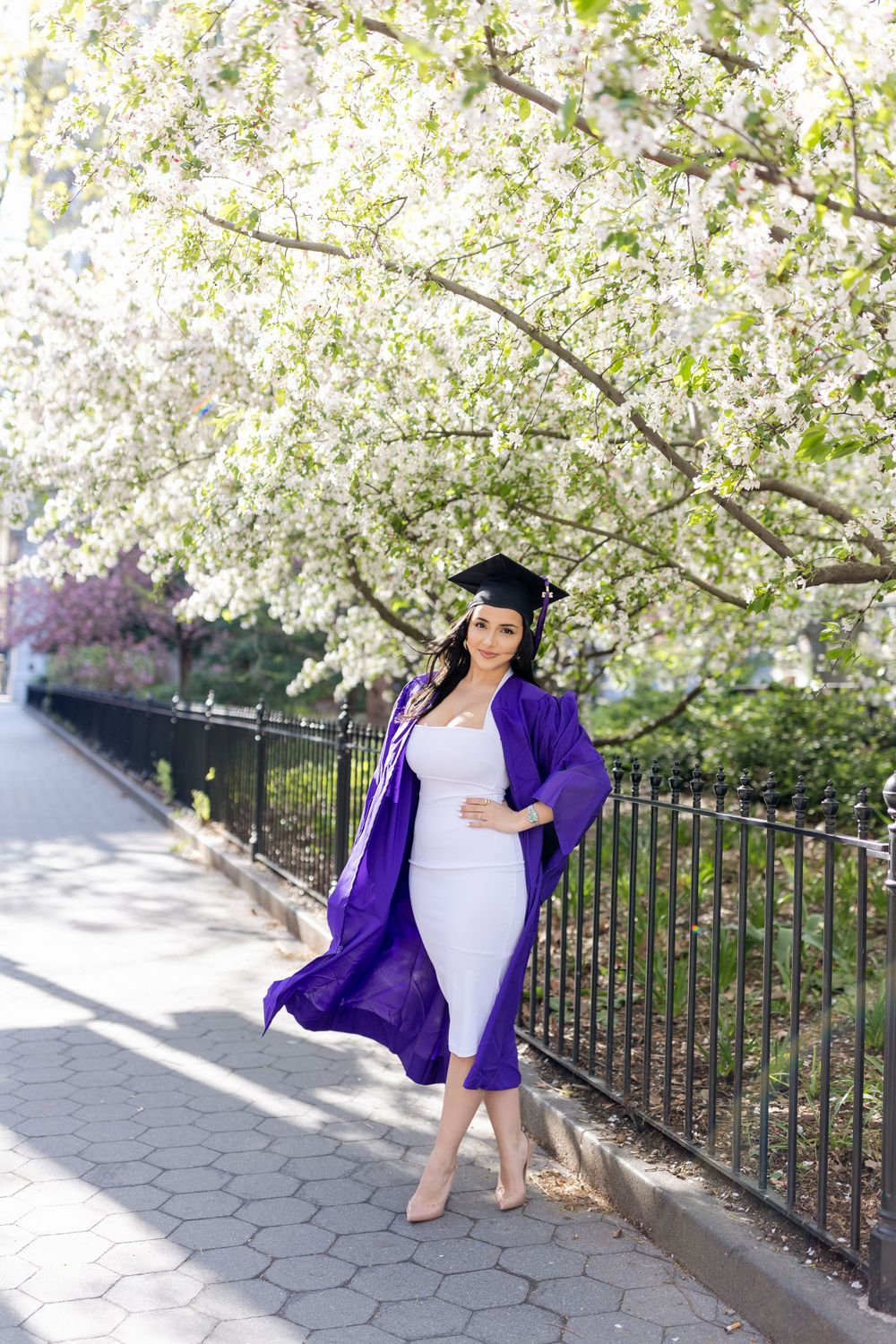 Graduate in purple academic regalia poses under blooming cherry trees along park pathway.