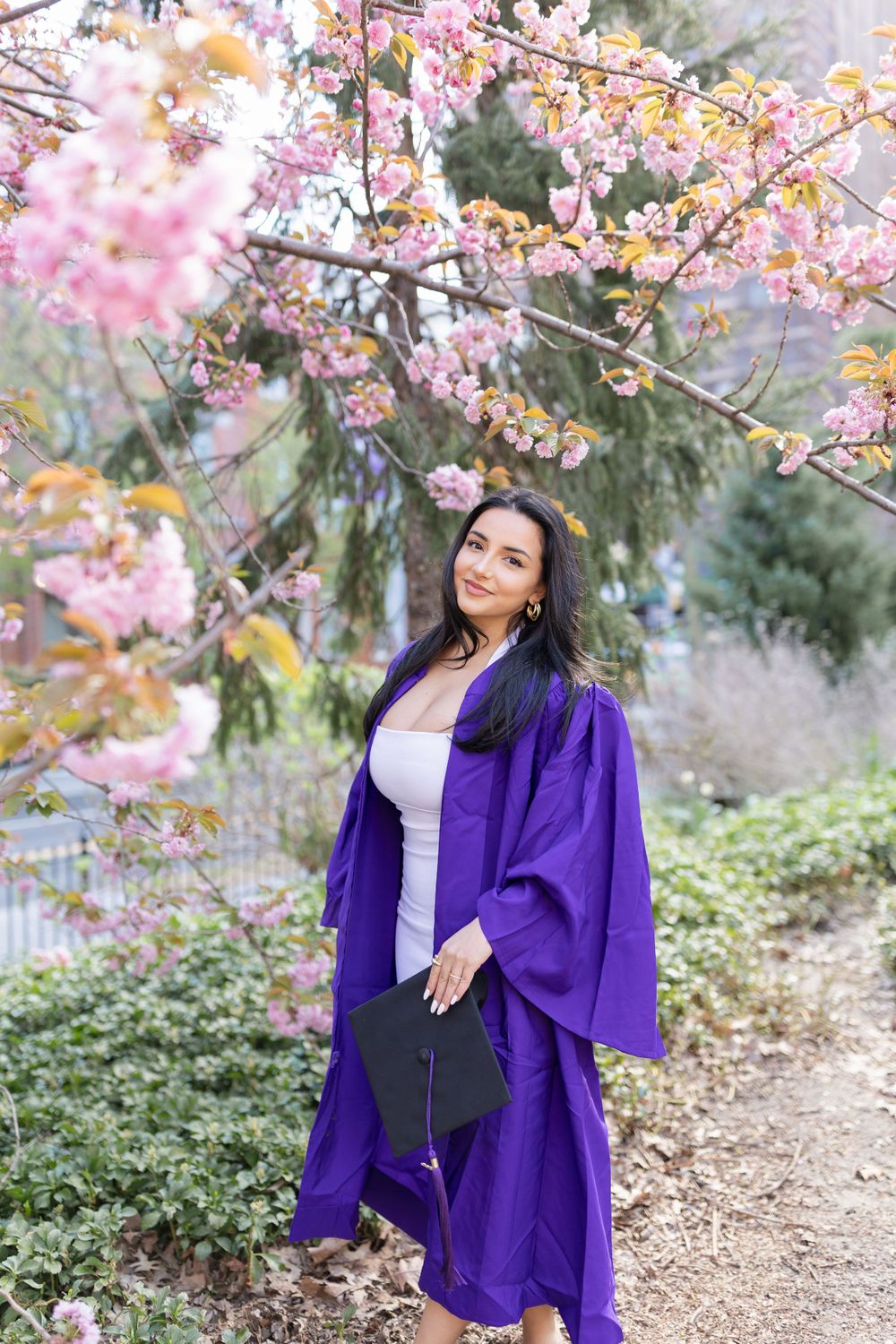 Spring graduation photo with pink cherry blossoms framing graduate in purple ceremonial gown.