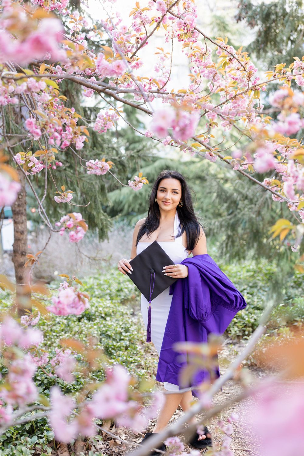 Graduate holding diploma poses among blooming cherry trees in traditional purple academic regalia.