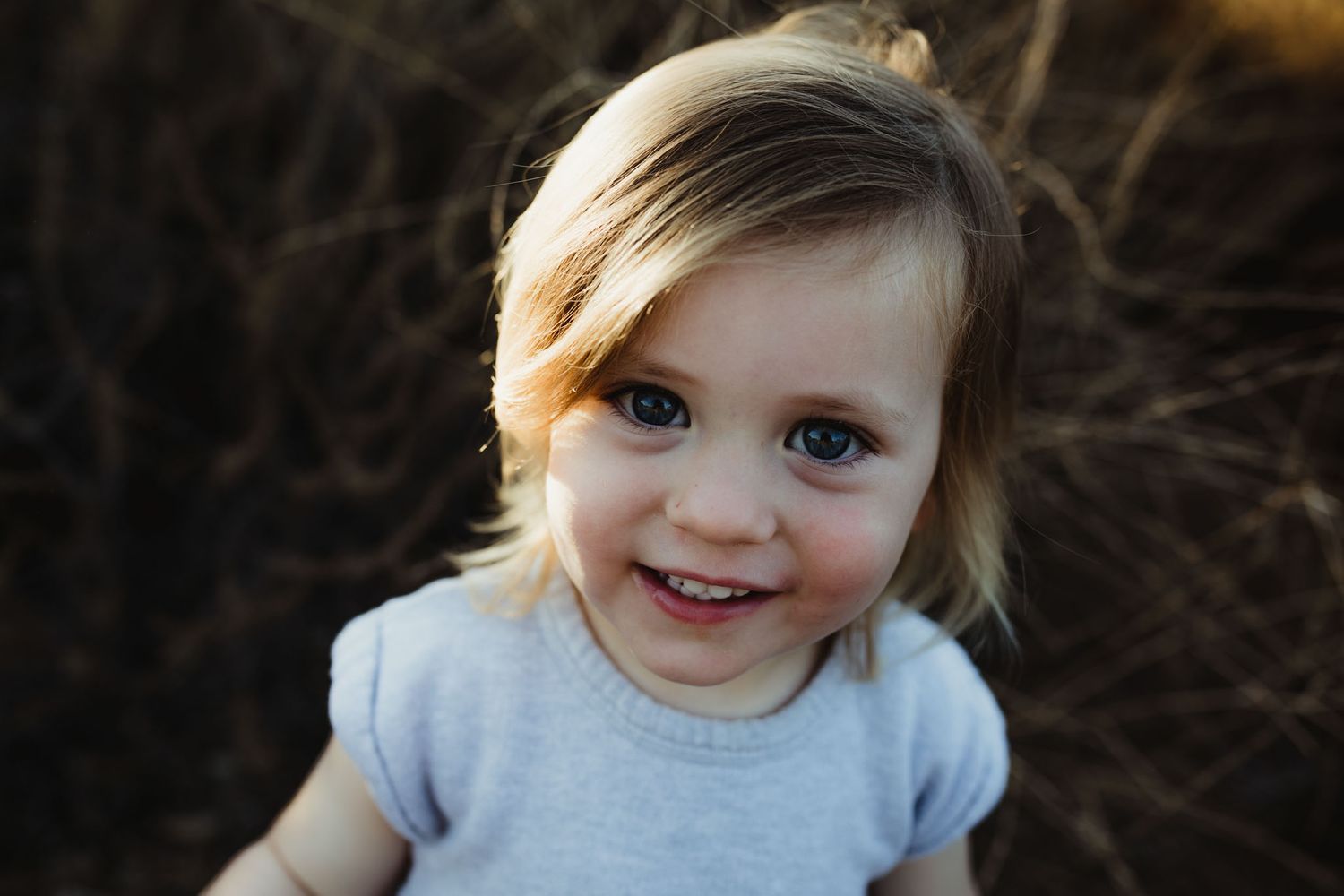 Eden Prairie Mini Session Photographer