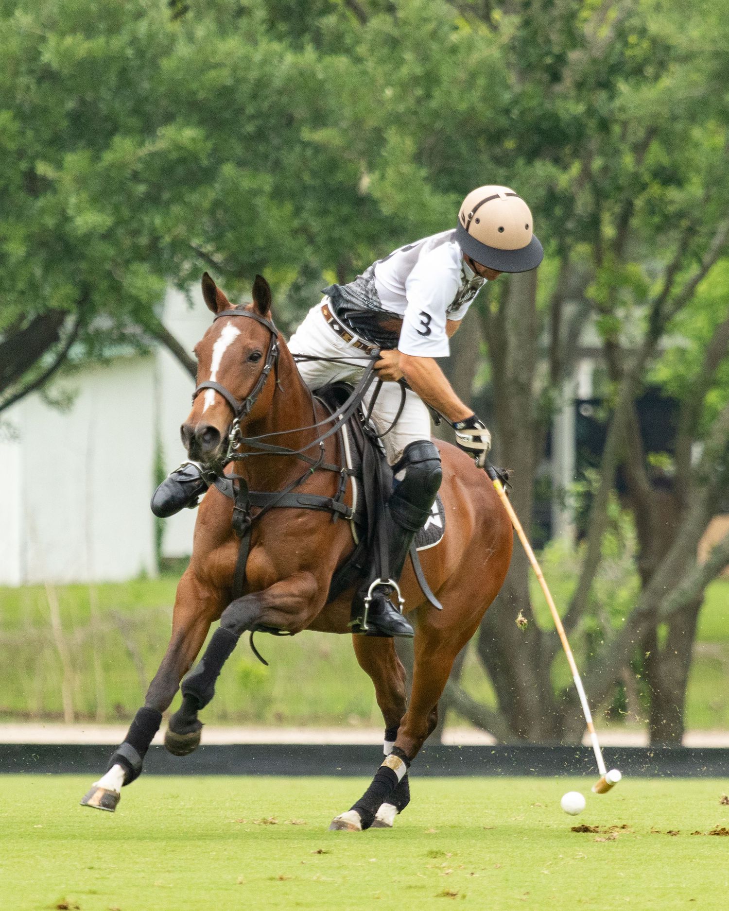 Polo