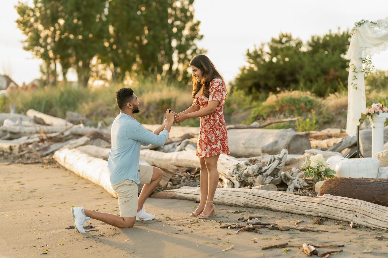 A beach proposal scene with driftwood and a decorated arch on the shoreline at sunset.