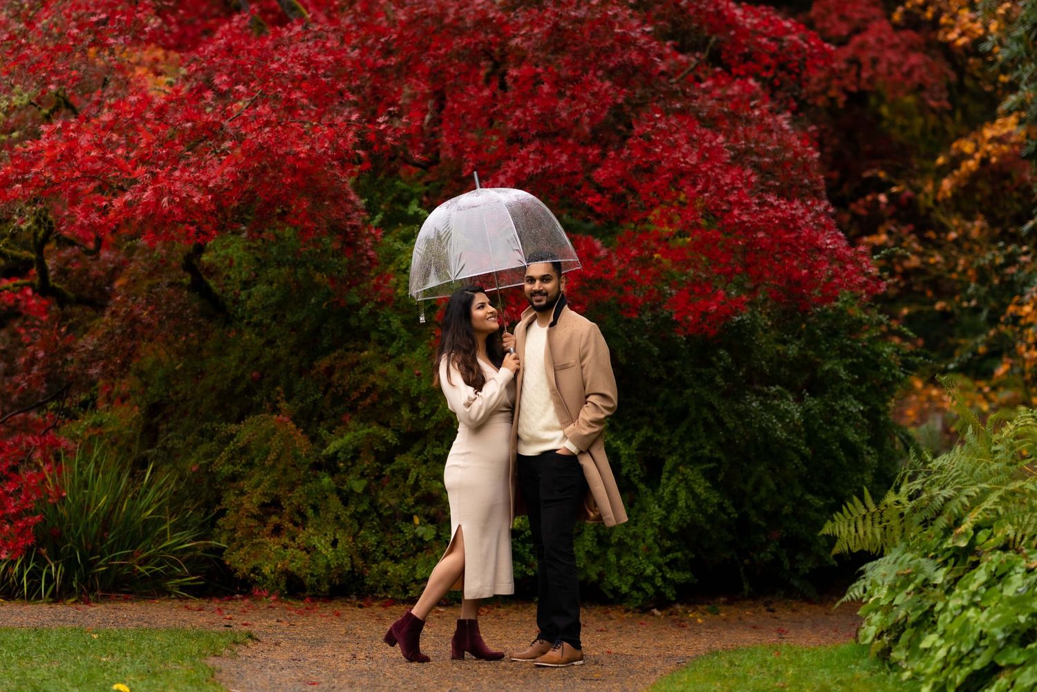 Series of photos featuring vibrant red autumn foliage in a garden setting.
