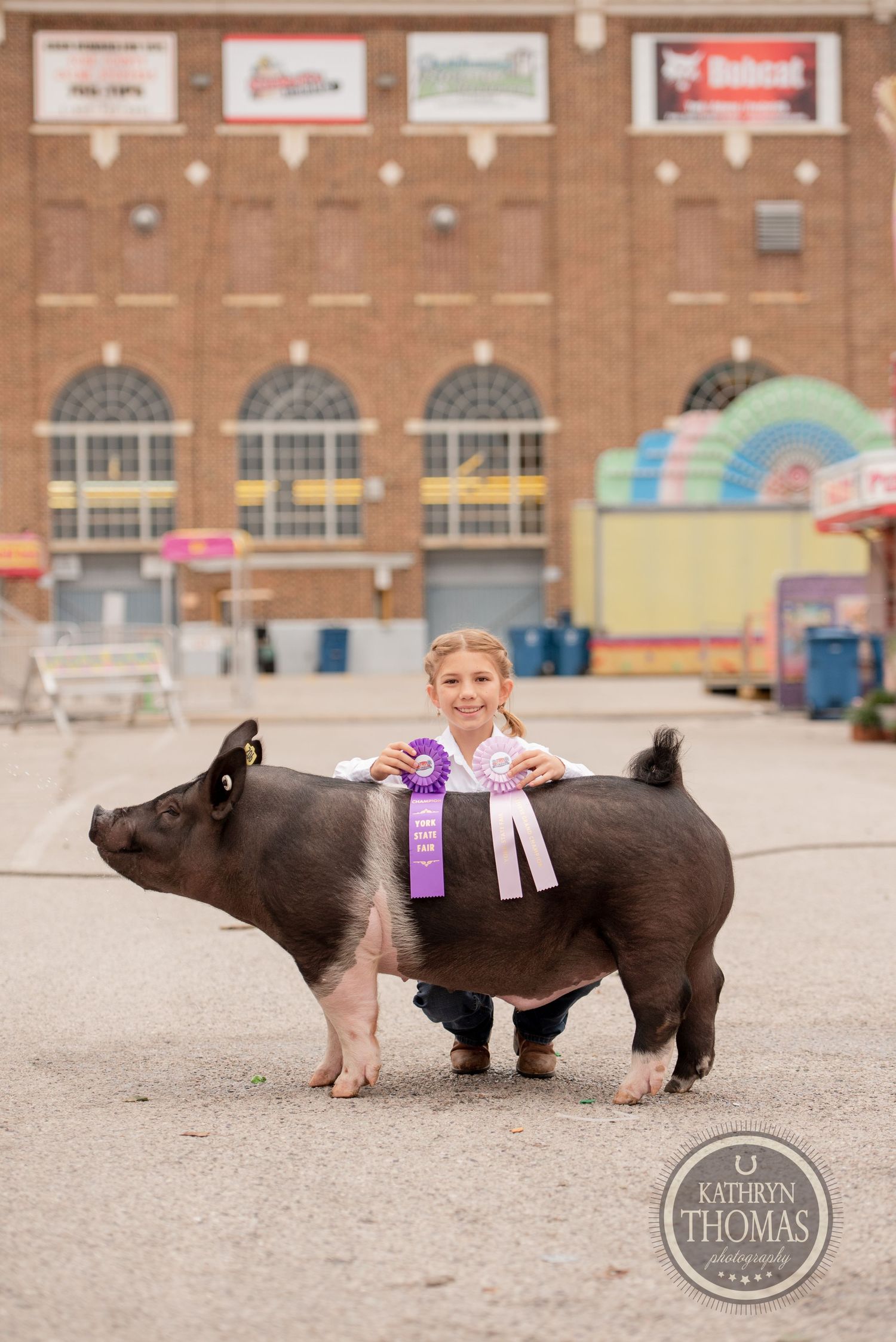A prize-winning show pig with purple ribbons stands in front of the York Fair building.