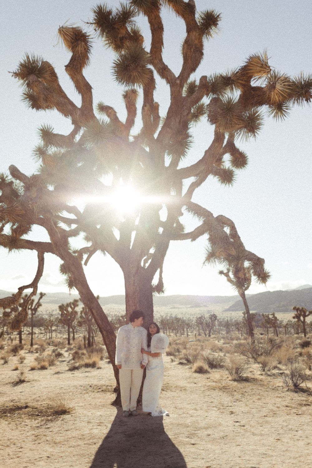 a couple dressed in white wedding dress and white suit stands in front of a big joshua tree