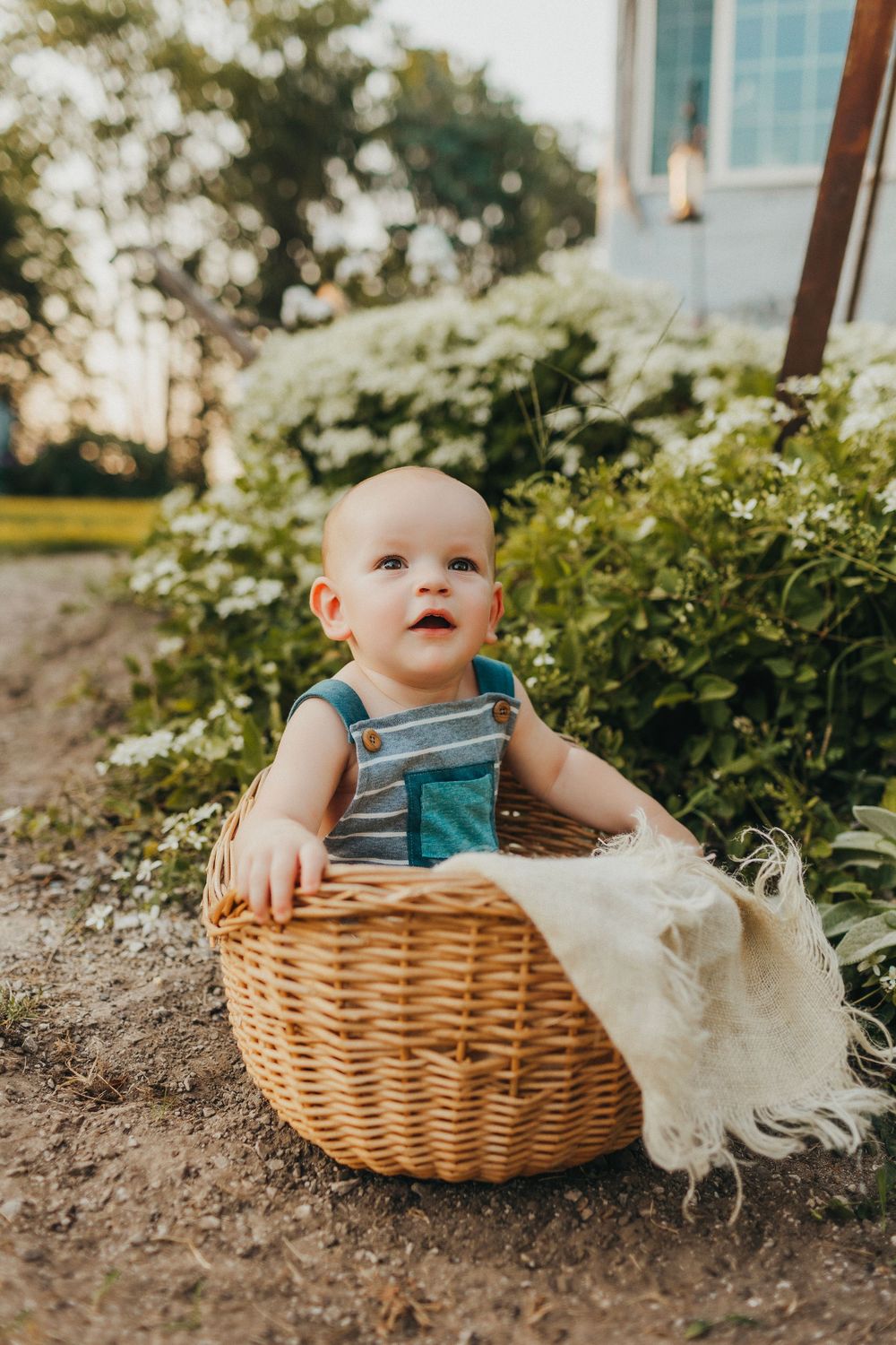 Baby in blue overalls sits inside large wicker basket outdoors.
