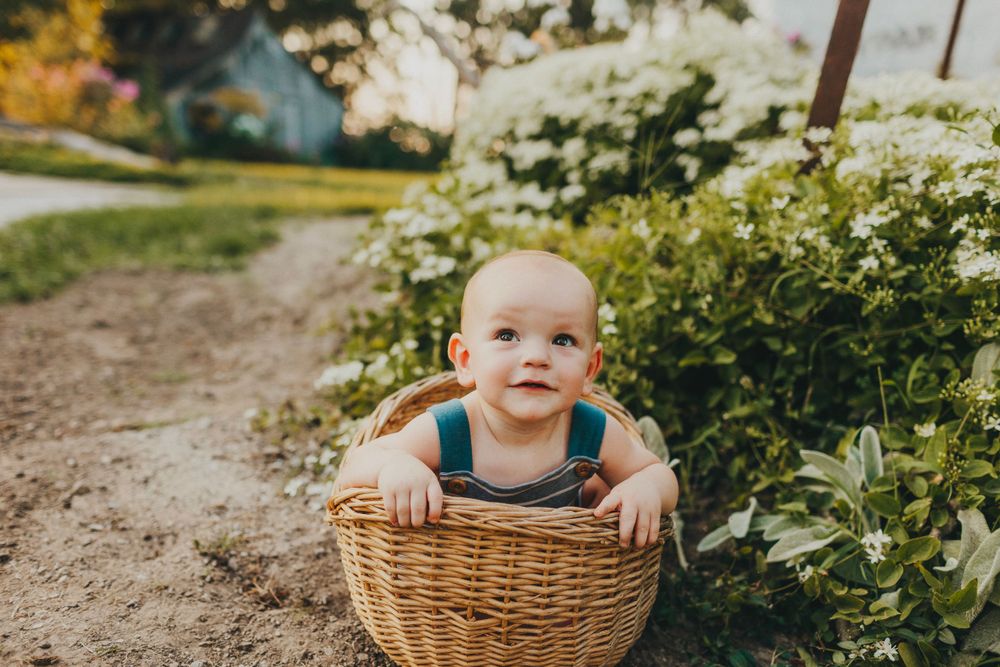 Happy baby peeks out of wicker basket on garden path.