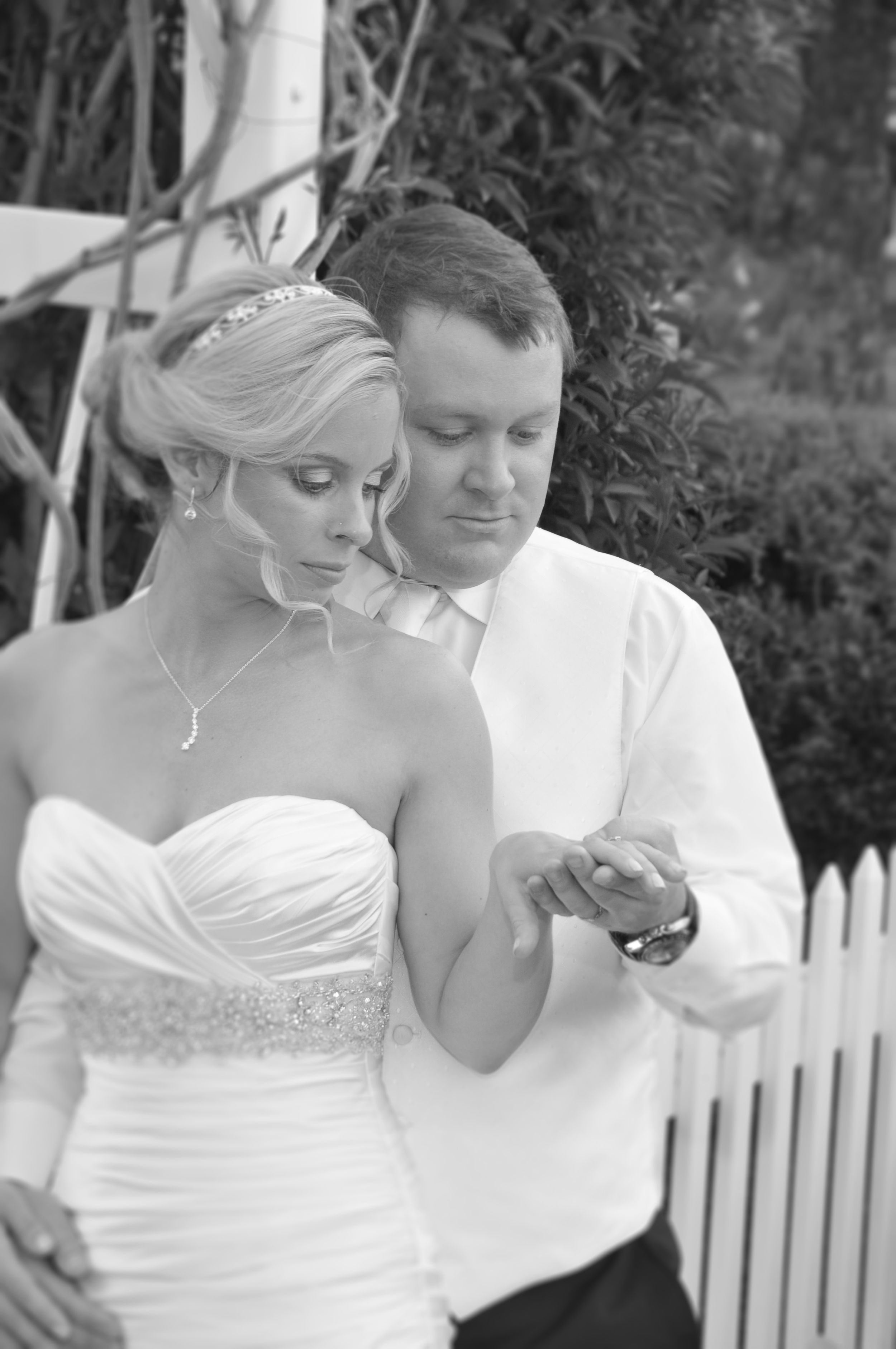 Professional Rhode Island Photographer