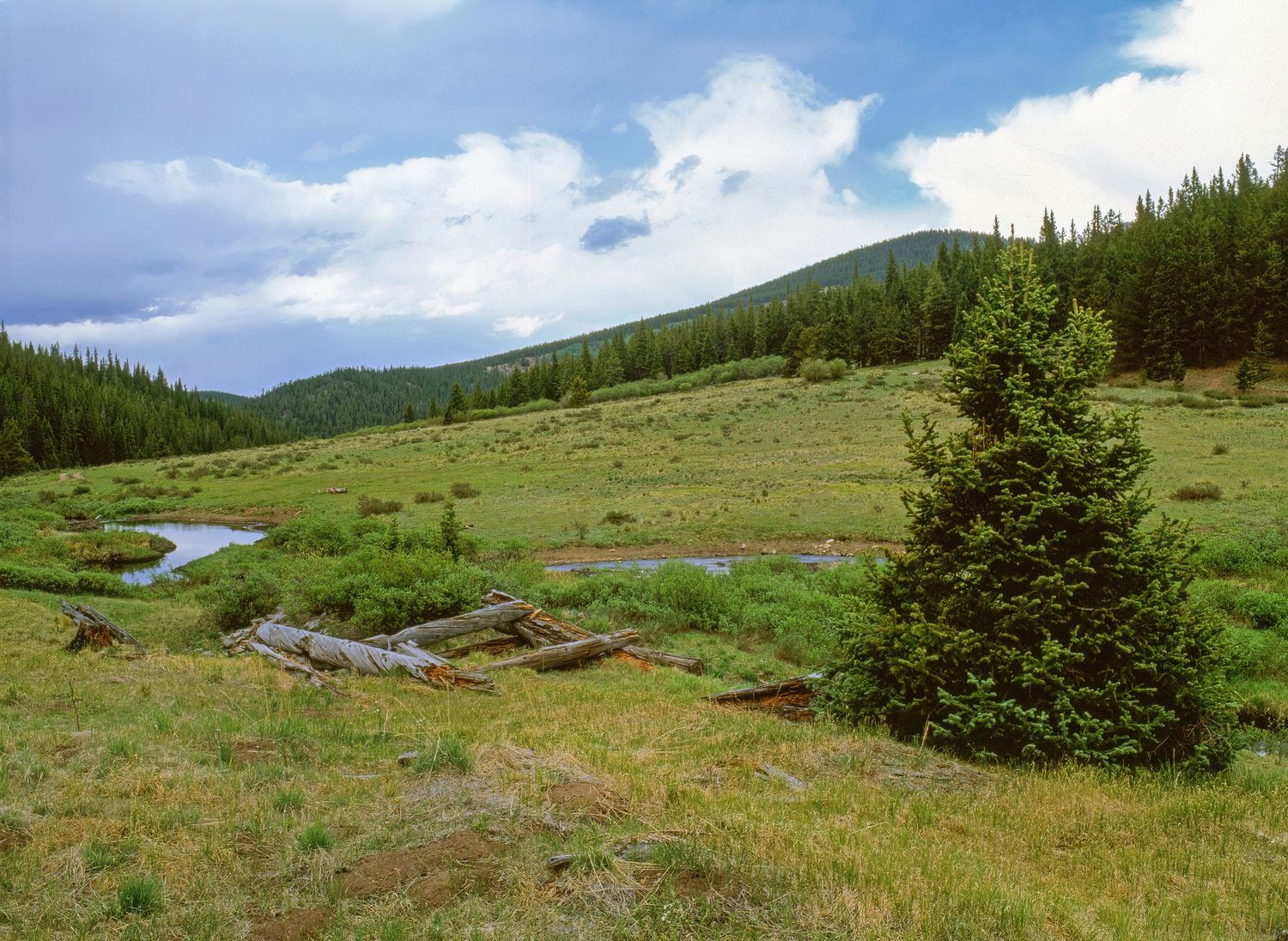 Conger's Camp, Colorado
