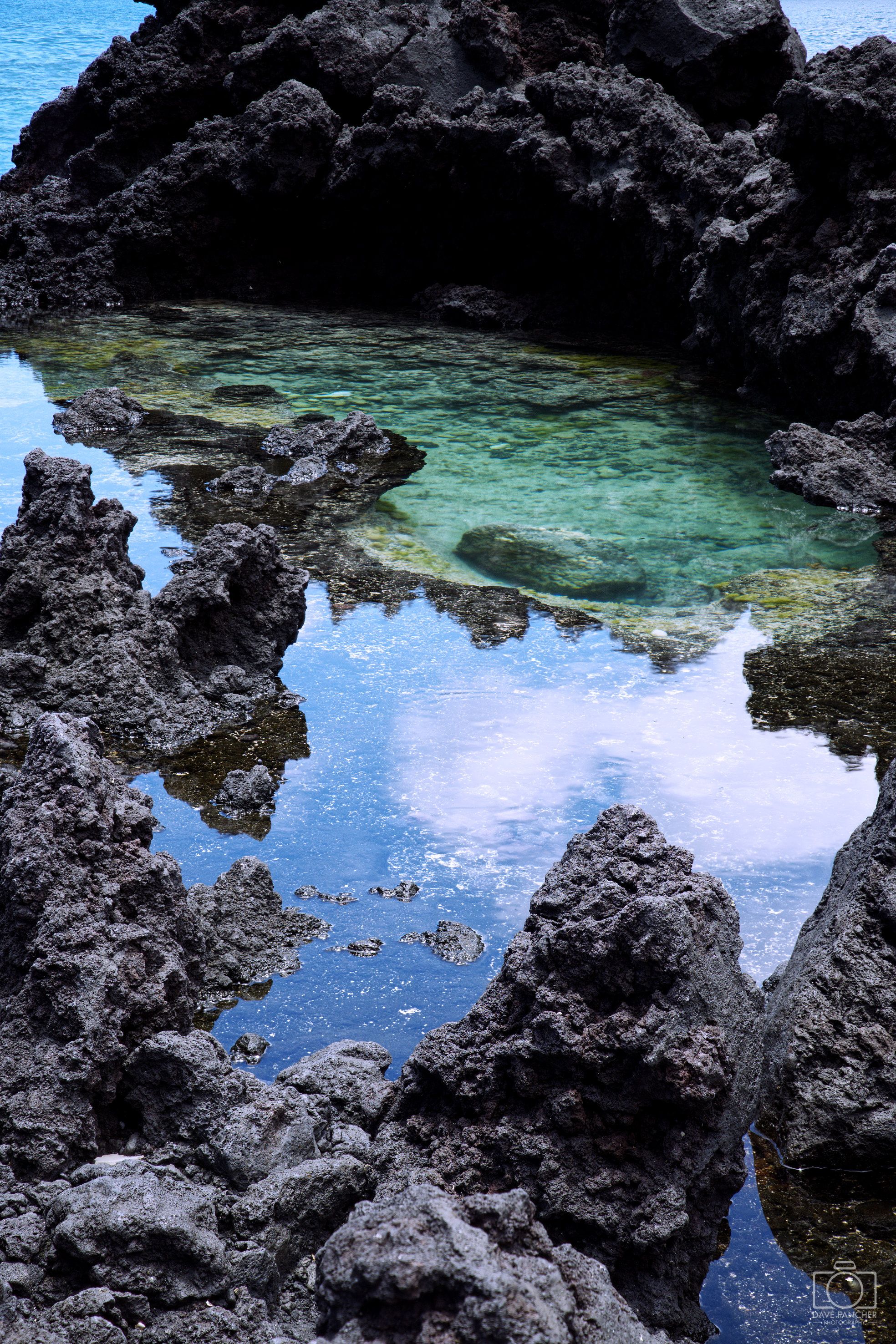 Focus stacked image of a small lagoon