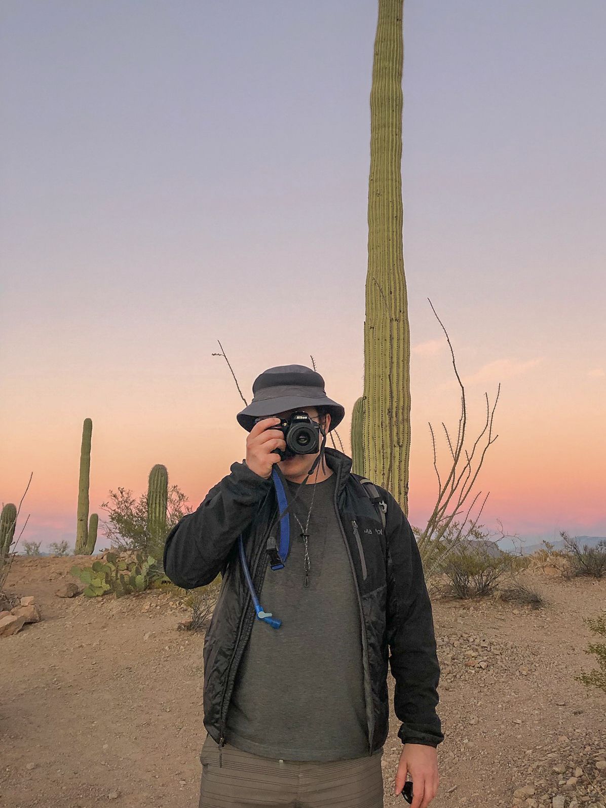 Photographer captures desert sunset among towering saguaro cacti.