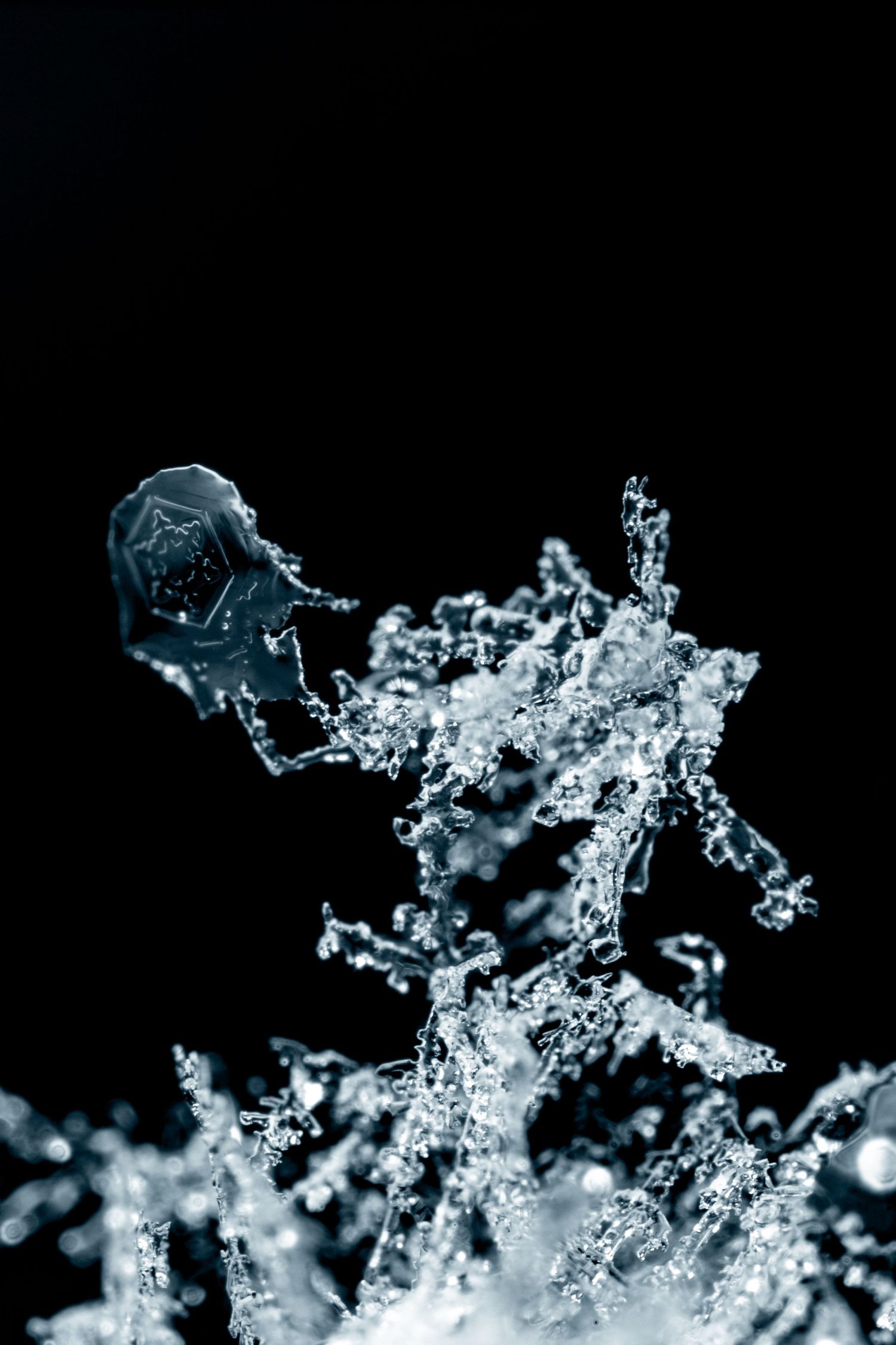 Makroaufnahme einer Schneeflocke welche getaut und sofort wieder gefror. Fotografiert von Urban Engel Perspectiva