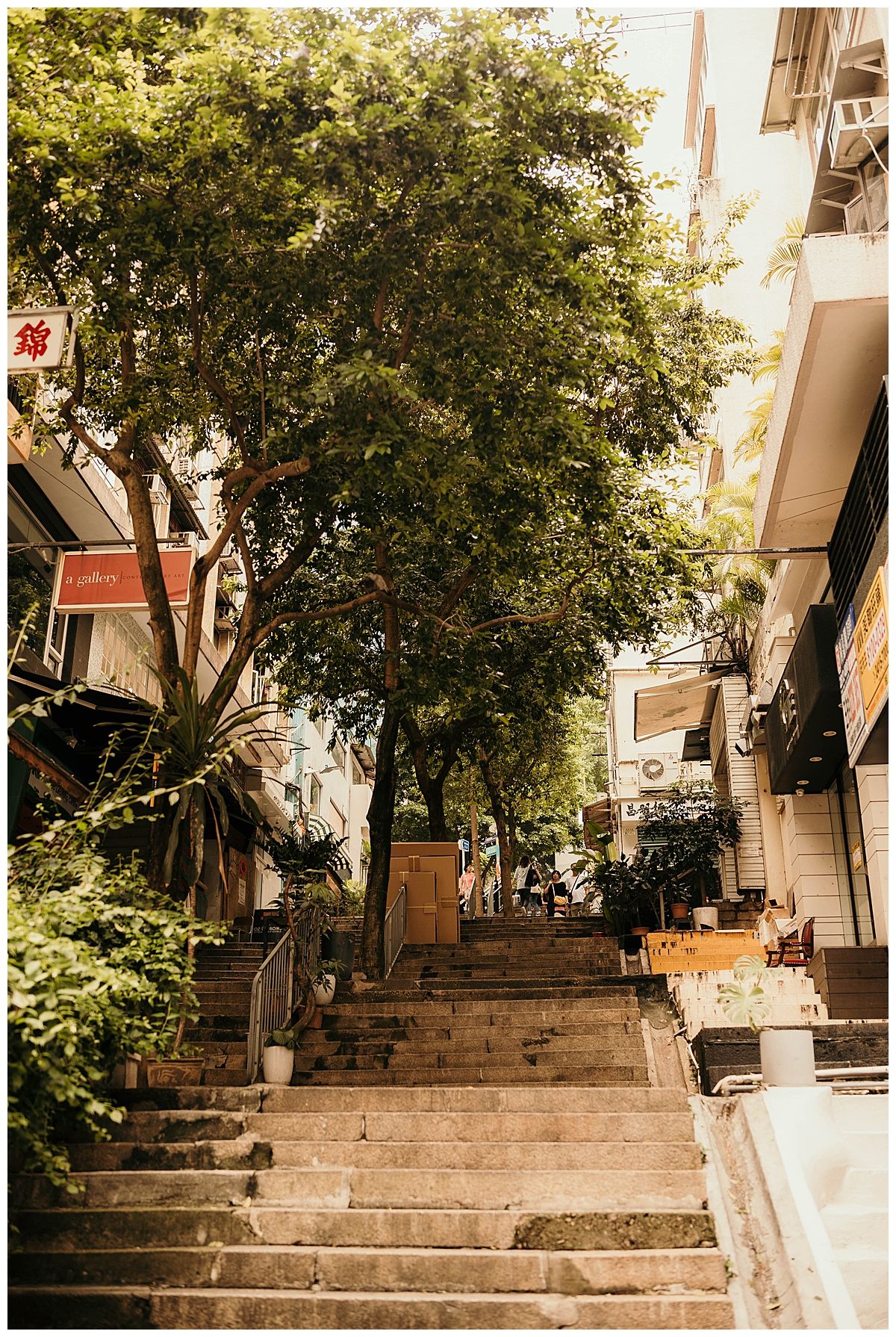 Stone steps leading up a tree-lined path between residential buildings.