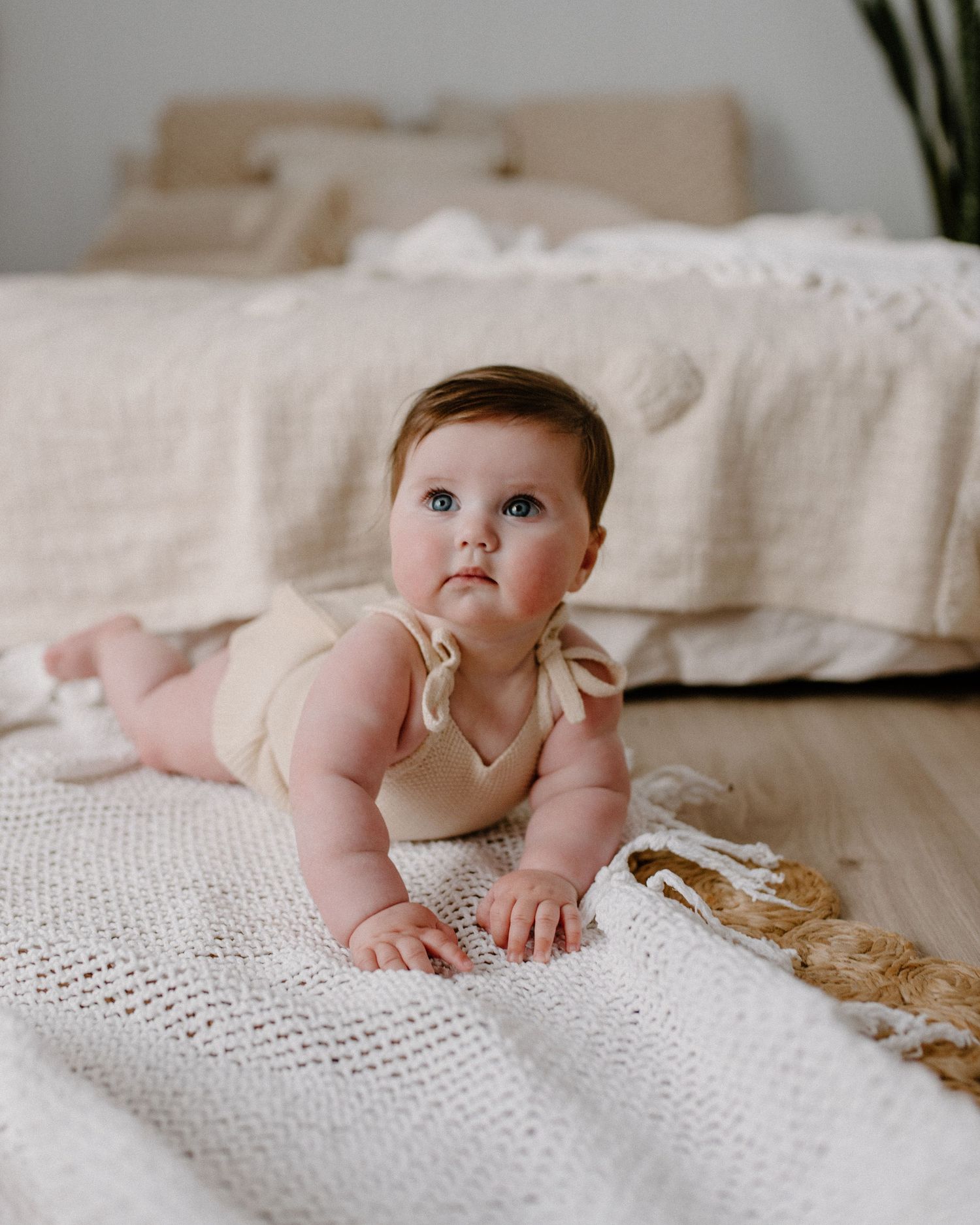 Sitter sessions photography Geelong